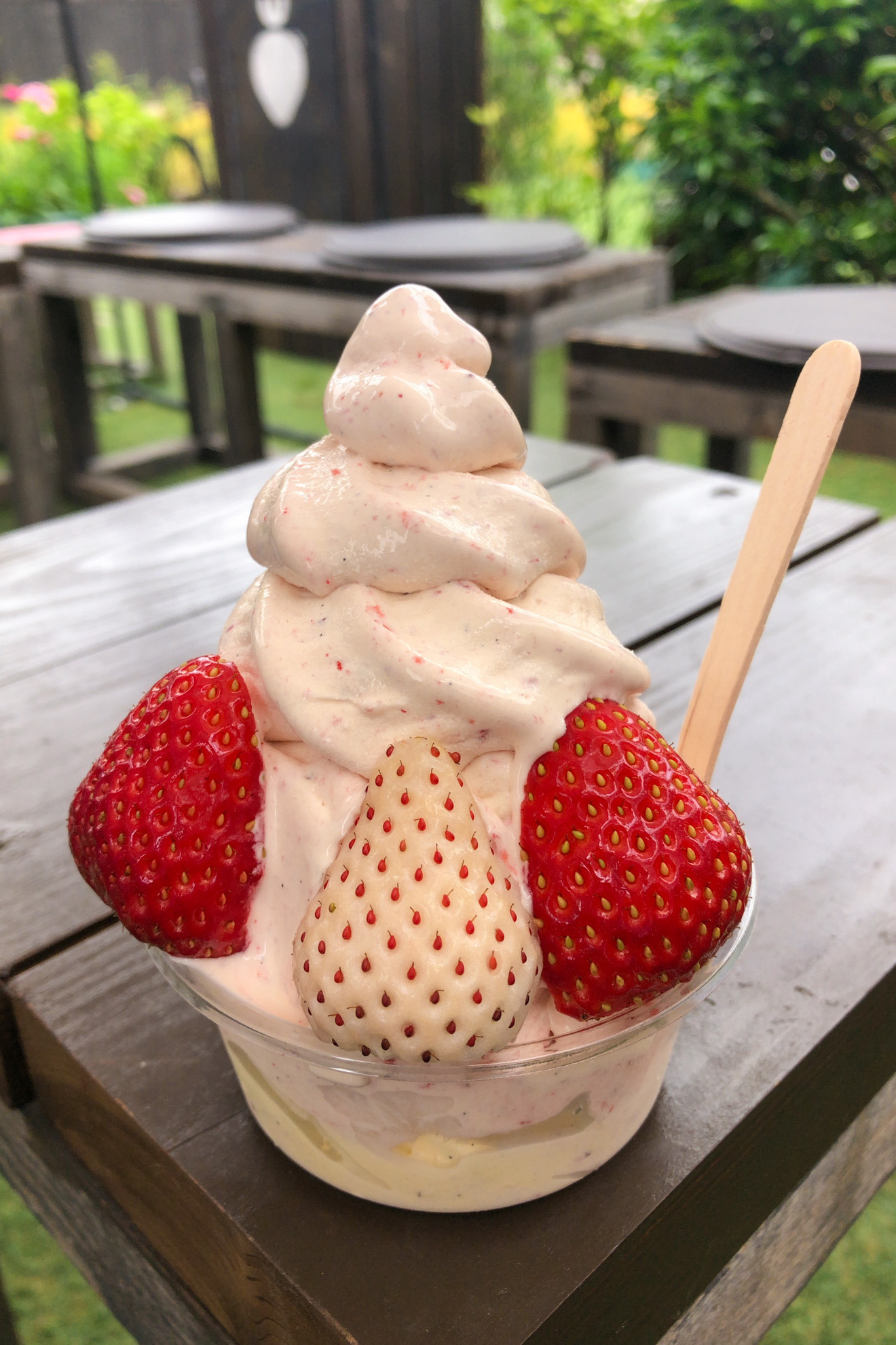 奥山いちご農園 〜 いちご農家直営！絶品の完熟いちごを使ったスイーツとドリンク〜（岡山市）