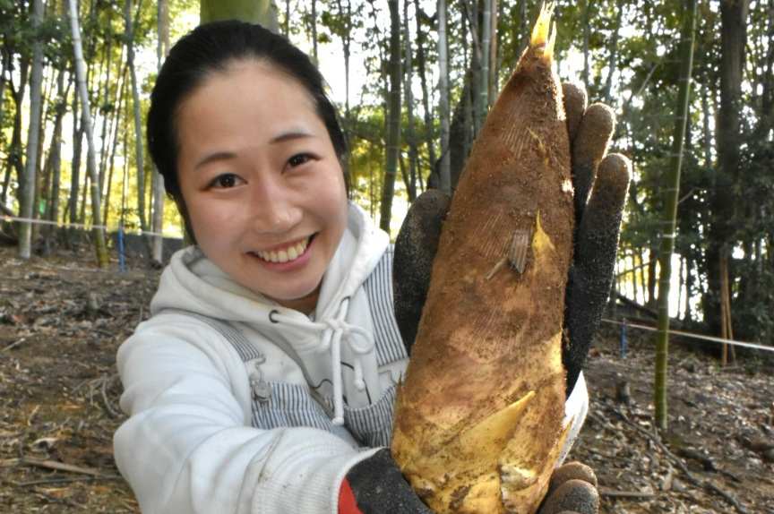 真備町のタケノコは今が旬！タケノコ掘りと直売所情報も（倉敷市）