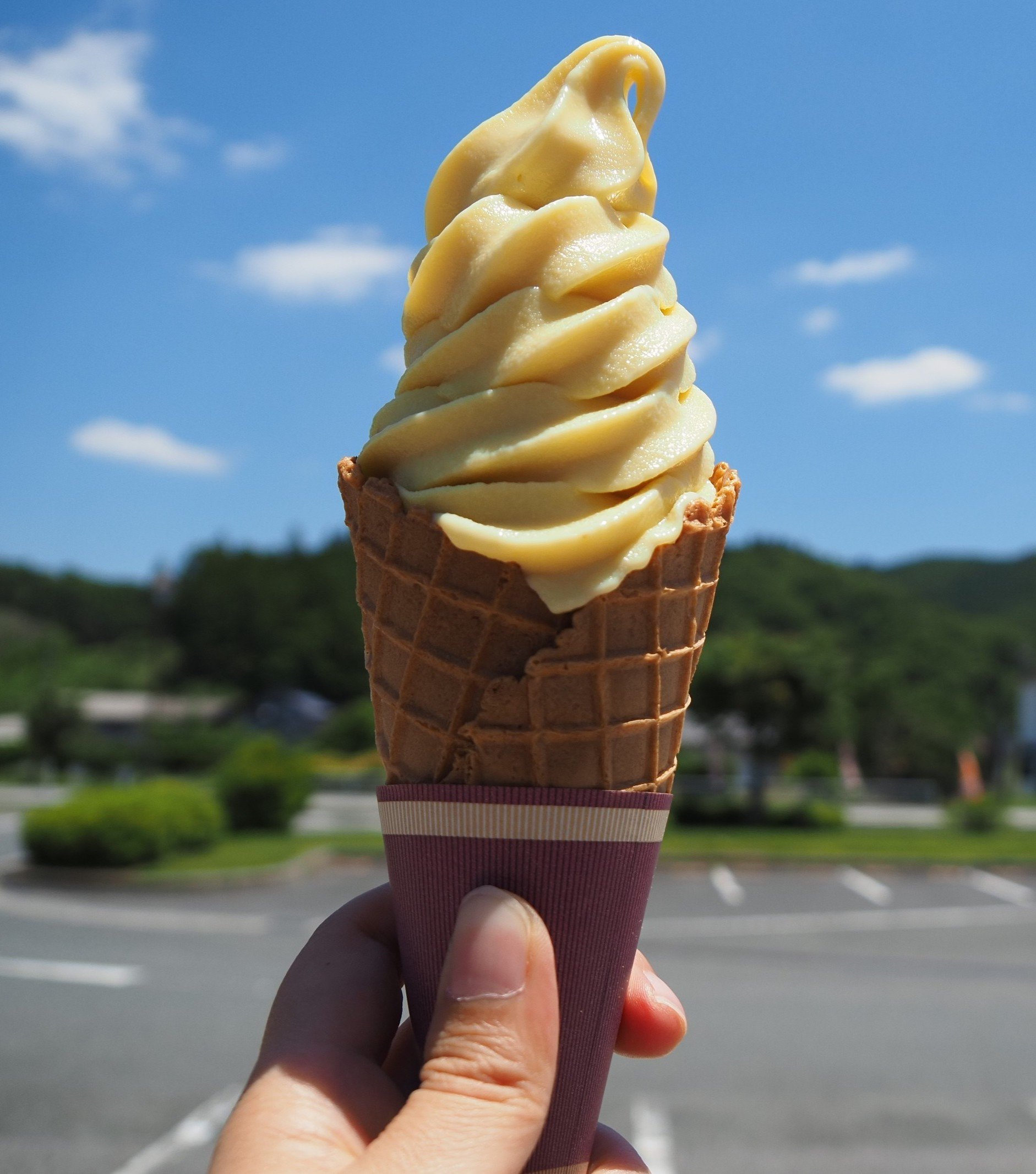 「道の駅 鯉が窪」には地産地消の魅力がいっぱい！米粉に千屋牛、幻の栗ソフト（新見市）