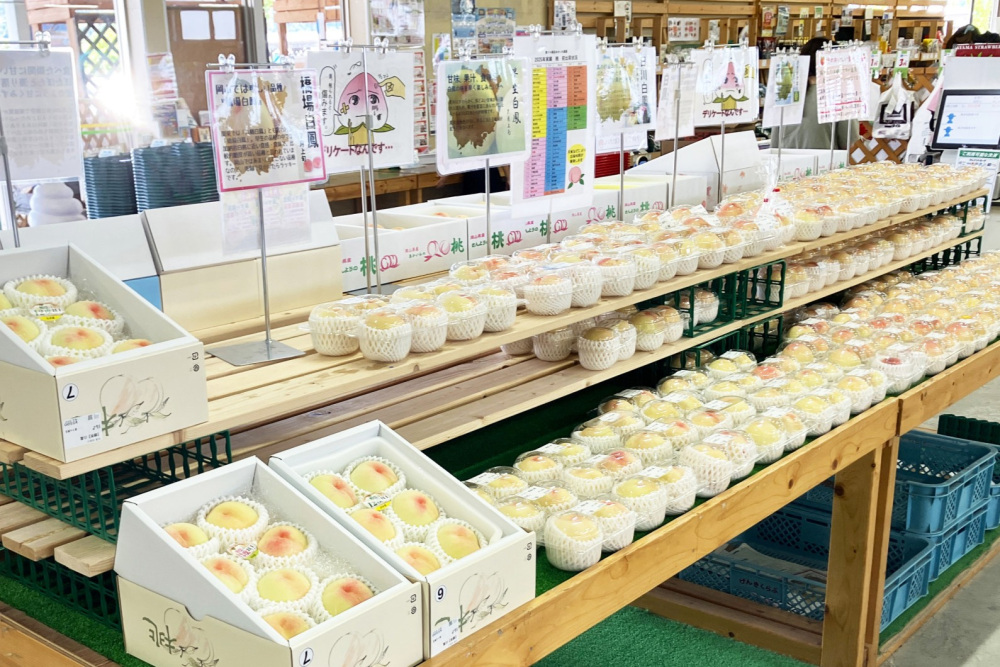 フルーツとスイーツの楽園「農マル園芸 あかいわ農園」に桃のシーズンが到来!(赤磐市)