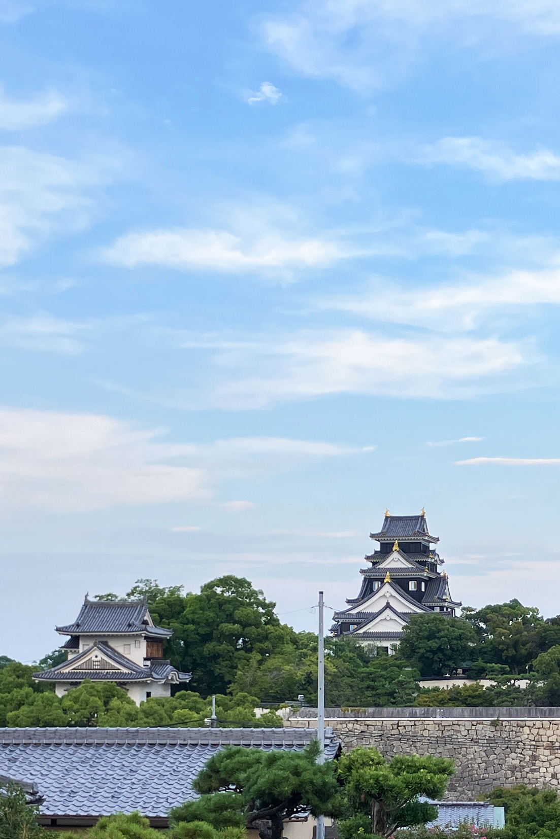 【空から見る岡山の史跡】岡山を代表する名城「岡山城」を空から徹底解説！