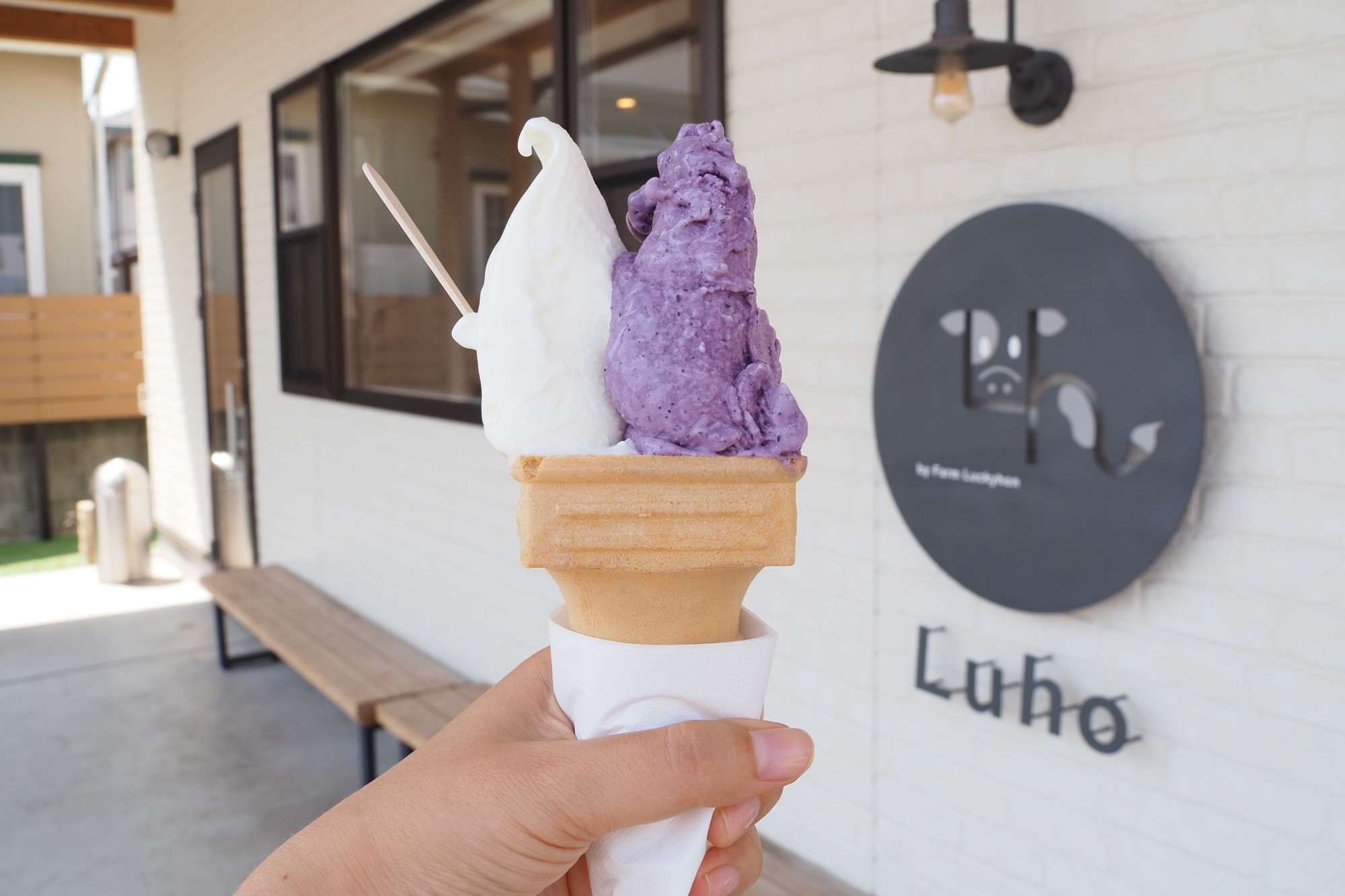 岡山県南西部のひんやりスイーツ6選｜実際に食べて選んだおすすめ店（笠岡市・井原市・浅口市）
