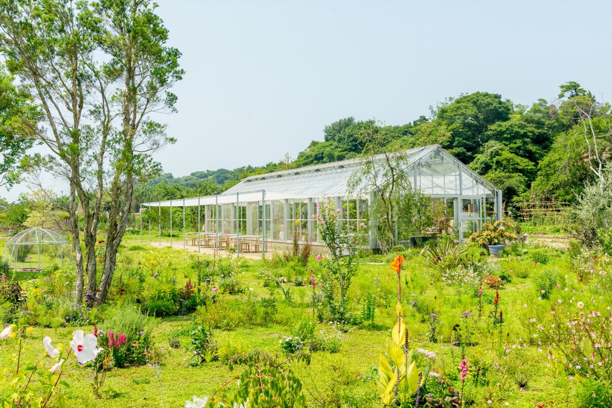 犬島 くらしの植物園　写真：井上嘉和