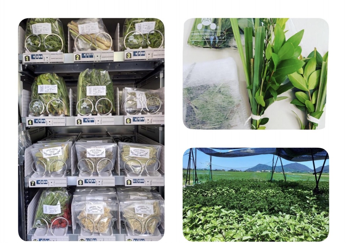 写真提供：Herb field 様