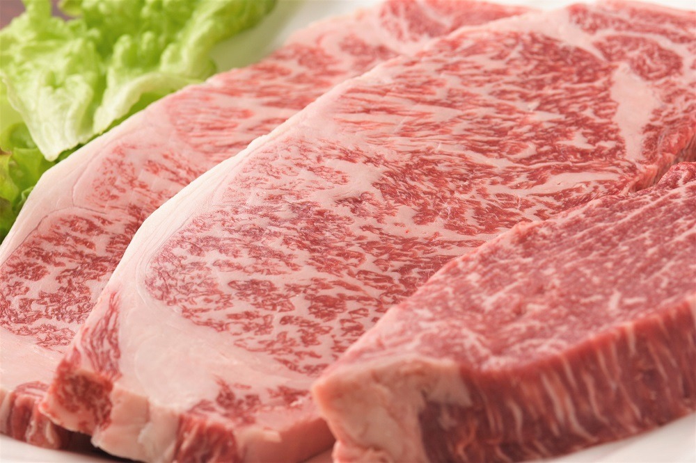 画像提供:新見市