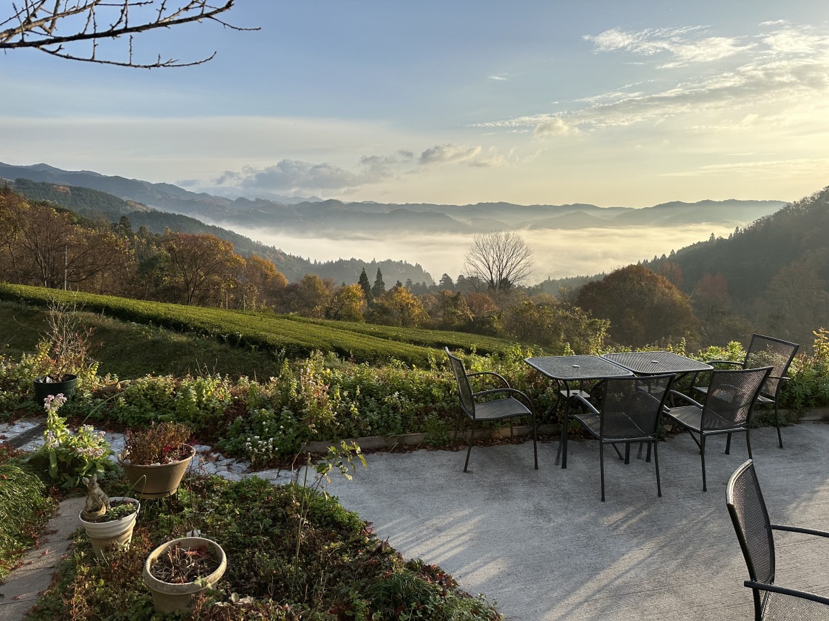 画像提供:アーリーモーニング