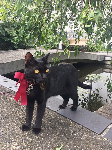 写真提供：夢二郷土美術館