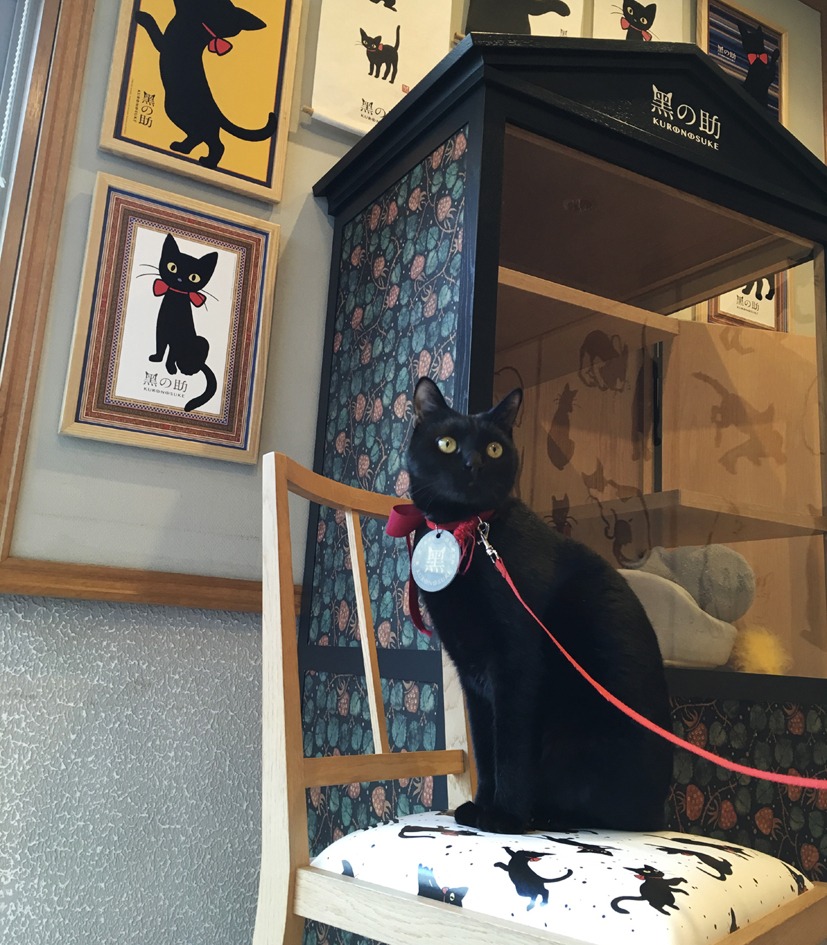 写真提供：夢二郷土美術館