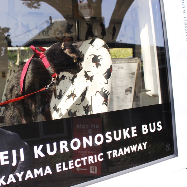 写真提供：夢二郷土美術館