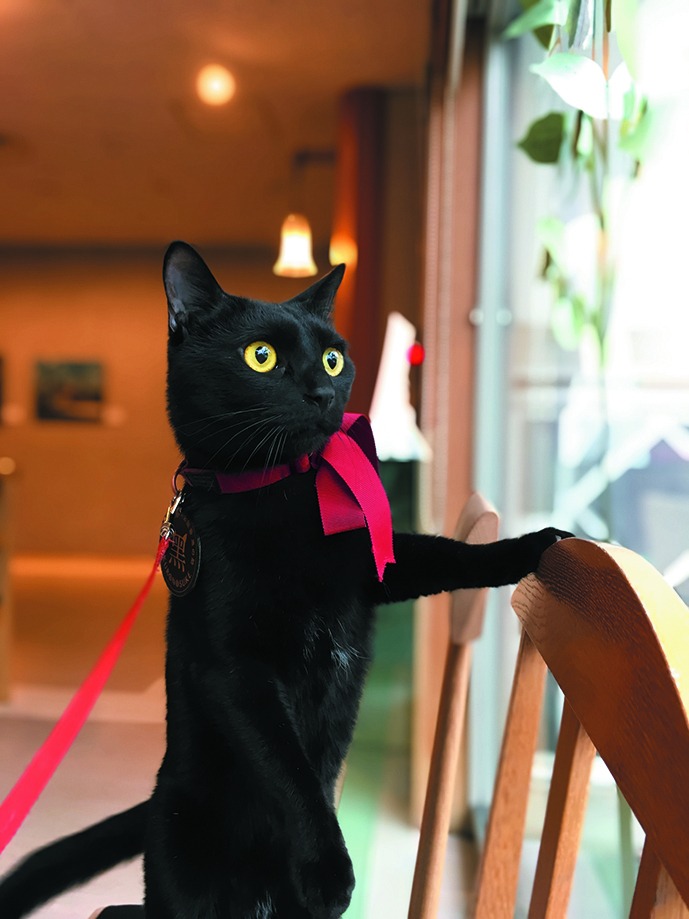 写真提供：夢二郷土美術館