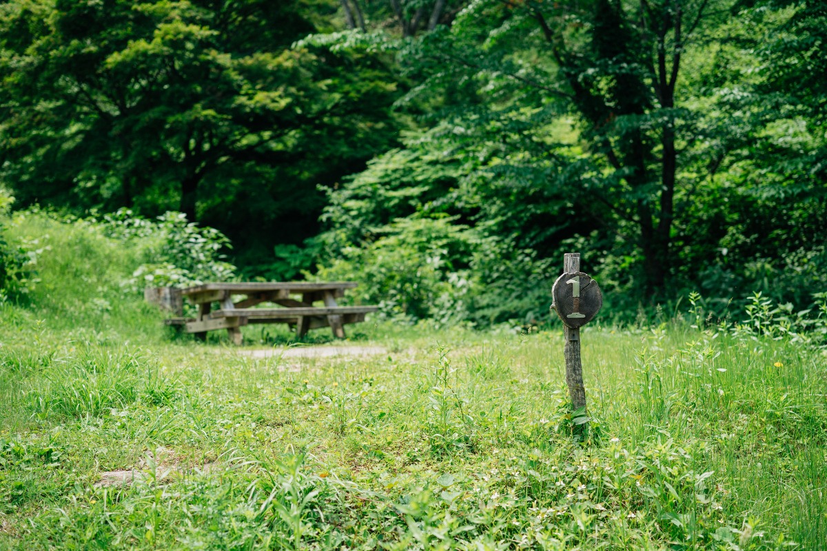 画像提供:クリエイト菅谷