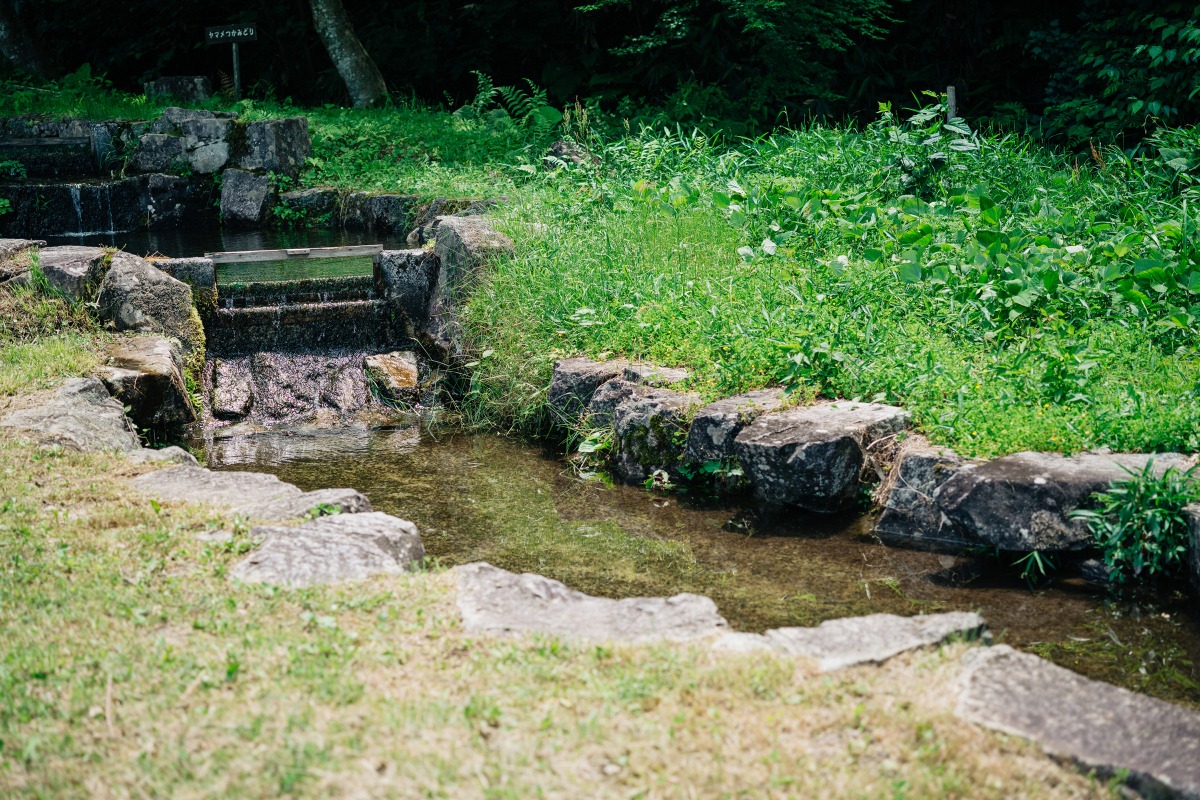 画像提供:クリエイト菅谷