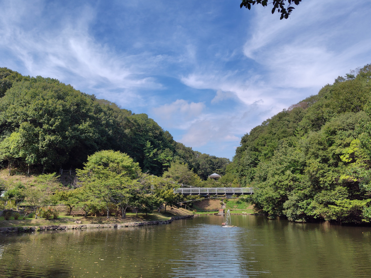公園の中央には大きな池があり、自然を満喫できます。