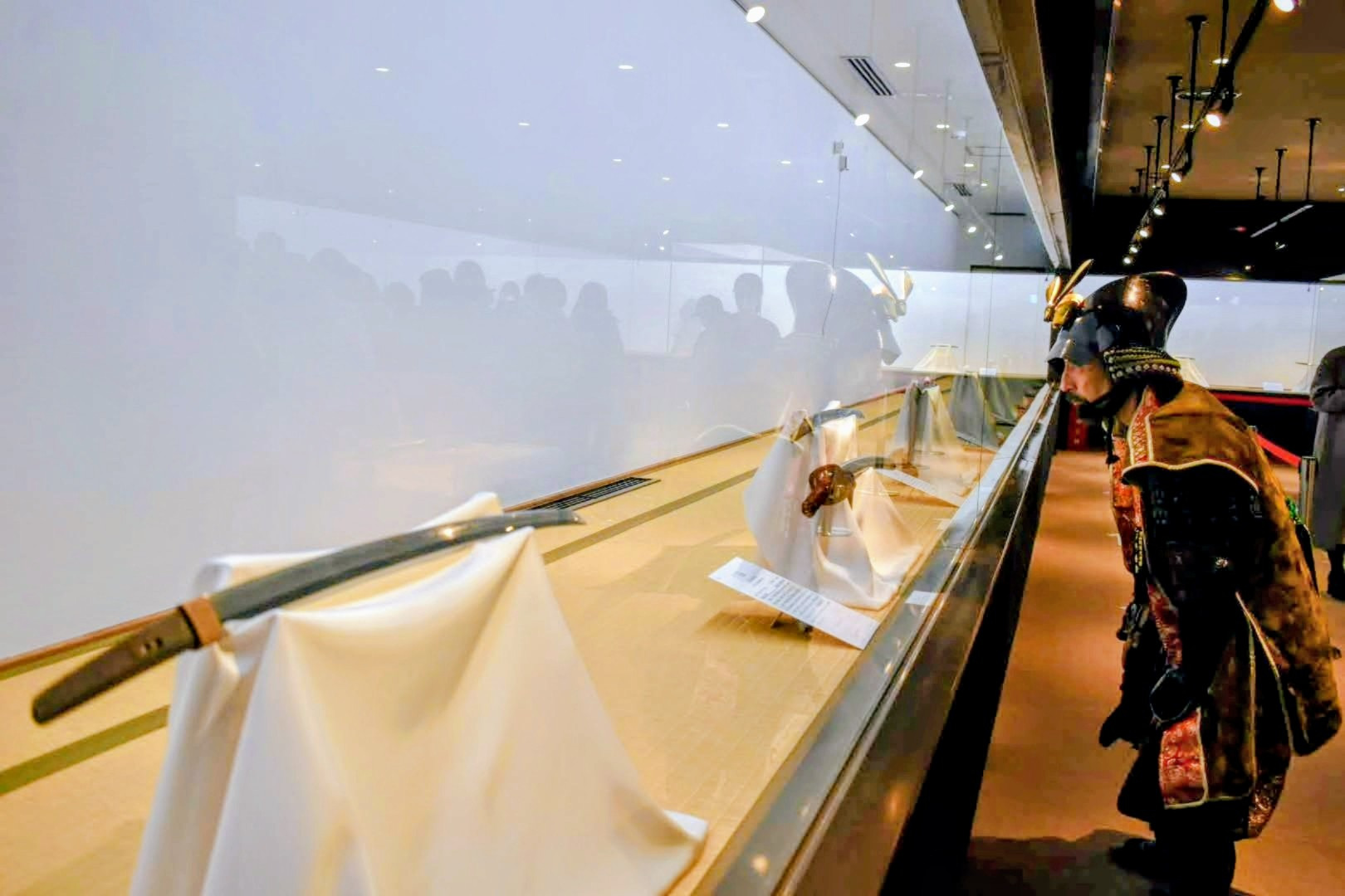 2023年11月山鳥毛特別展示+新収蔵展