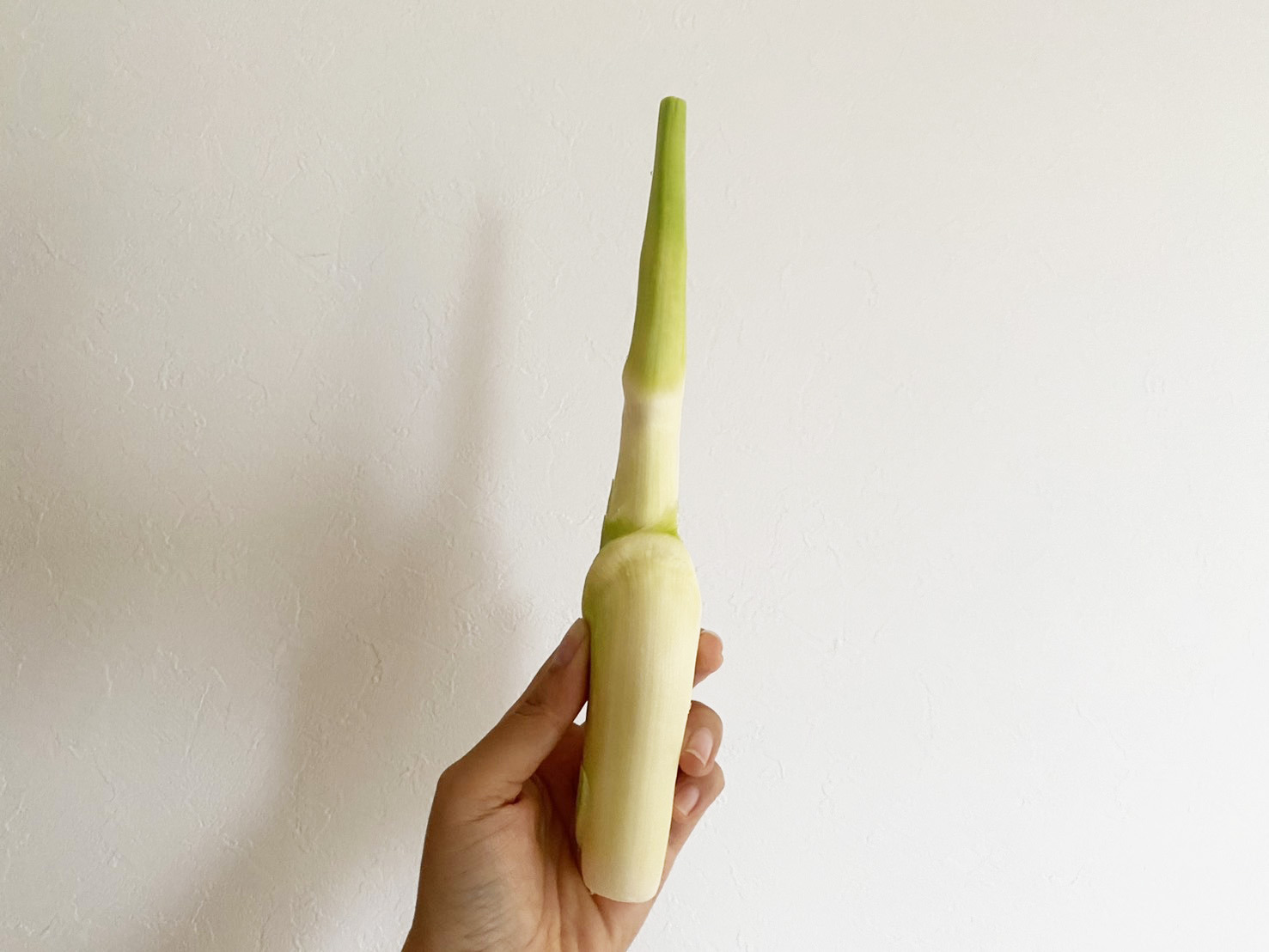 葉を取り除いたまこもたけ