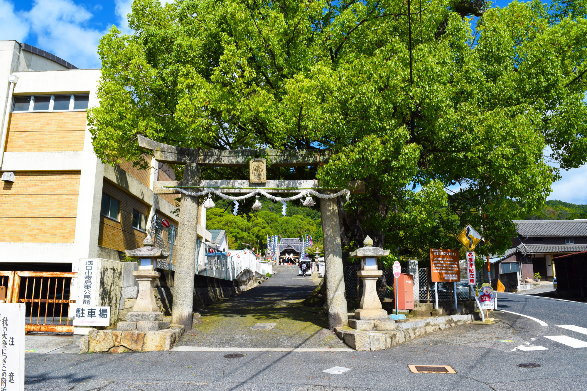 参道の脇にある樹齢650年とも言われる県下最大級のクスノキ