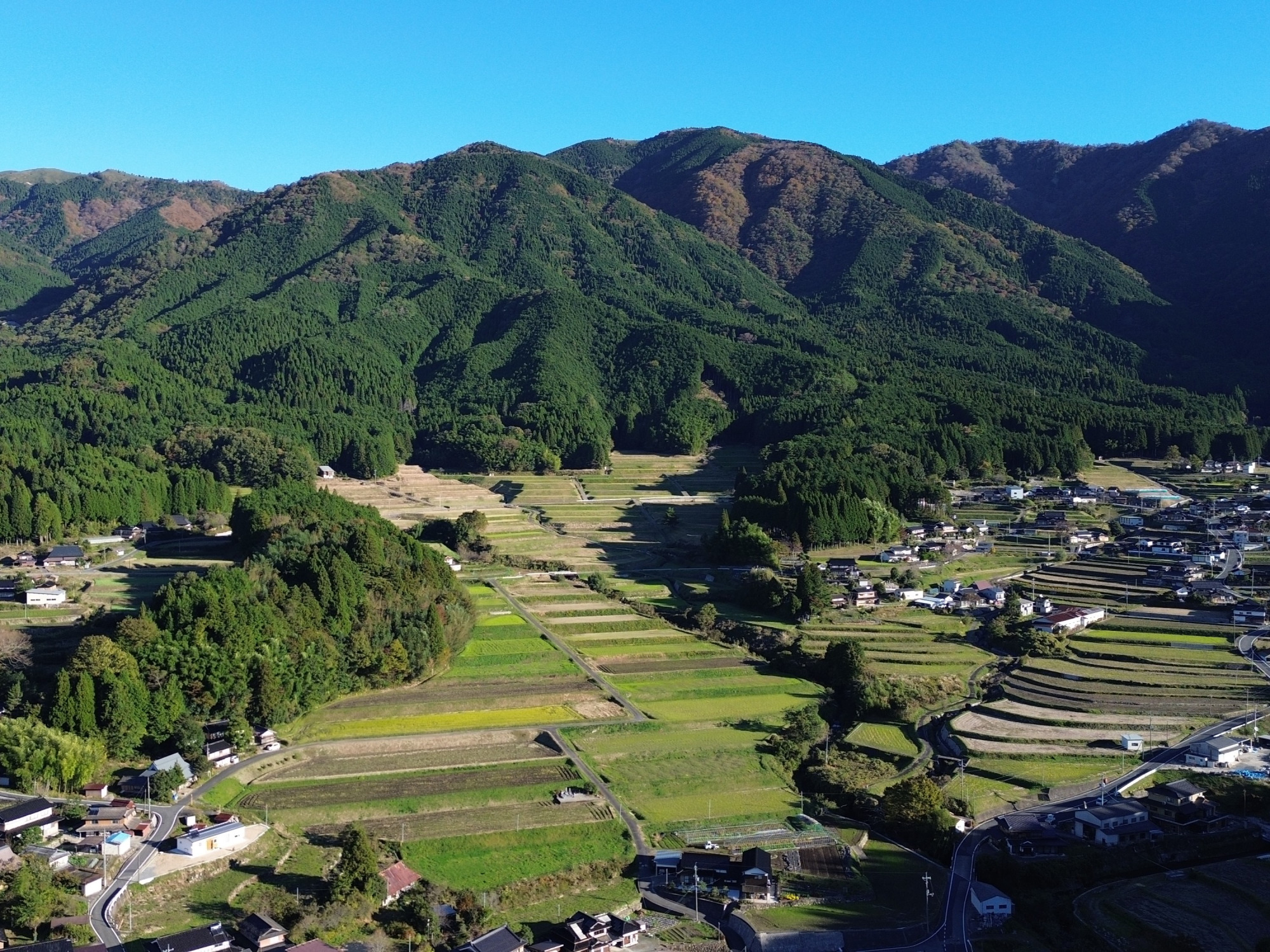 画像提供:FARM RESORT あわのわ