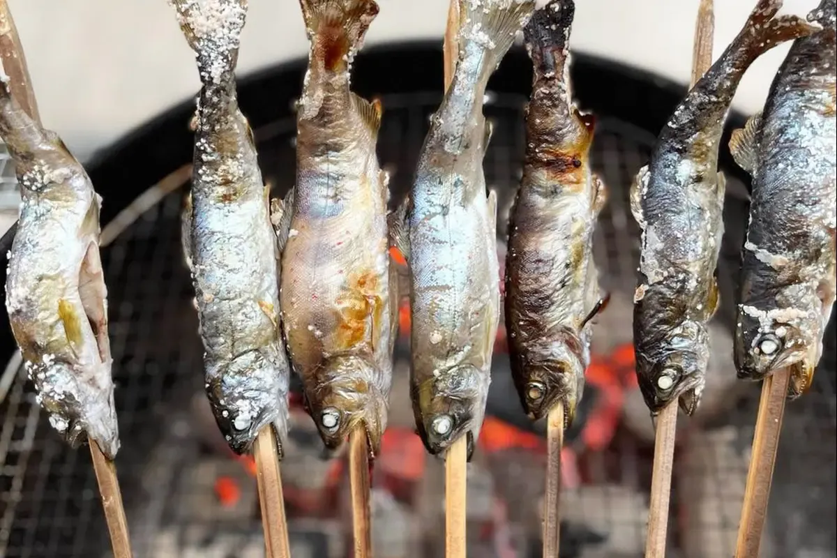 画像提供:FARM RESORT あわのわ