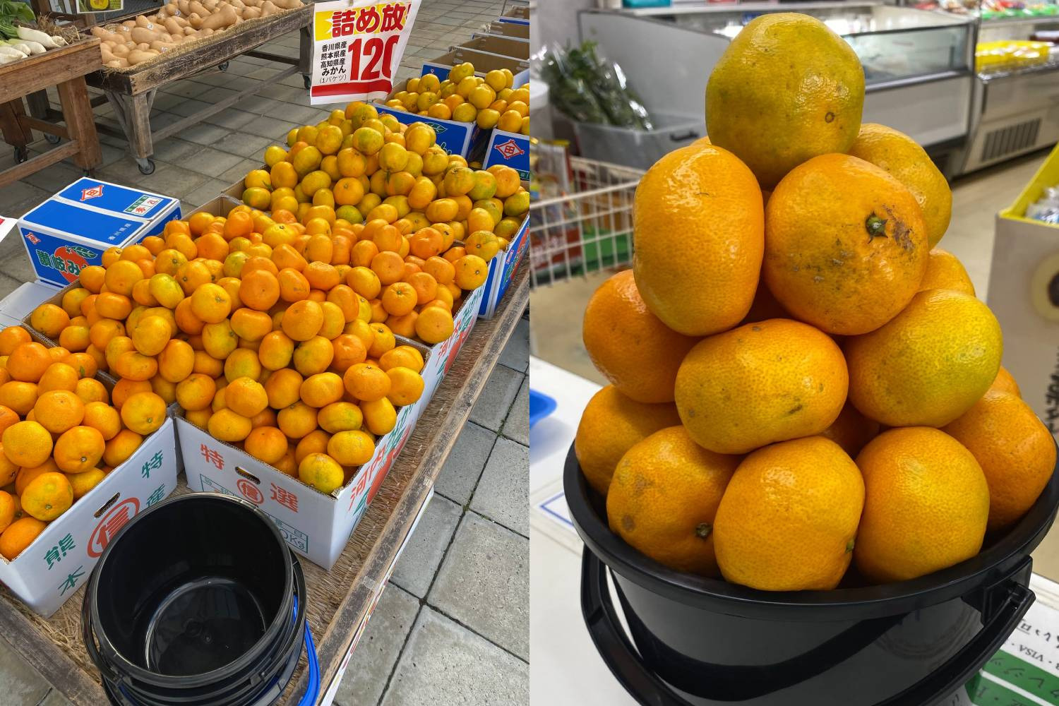 みかん詰め放題