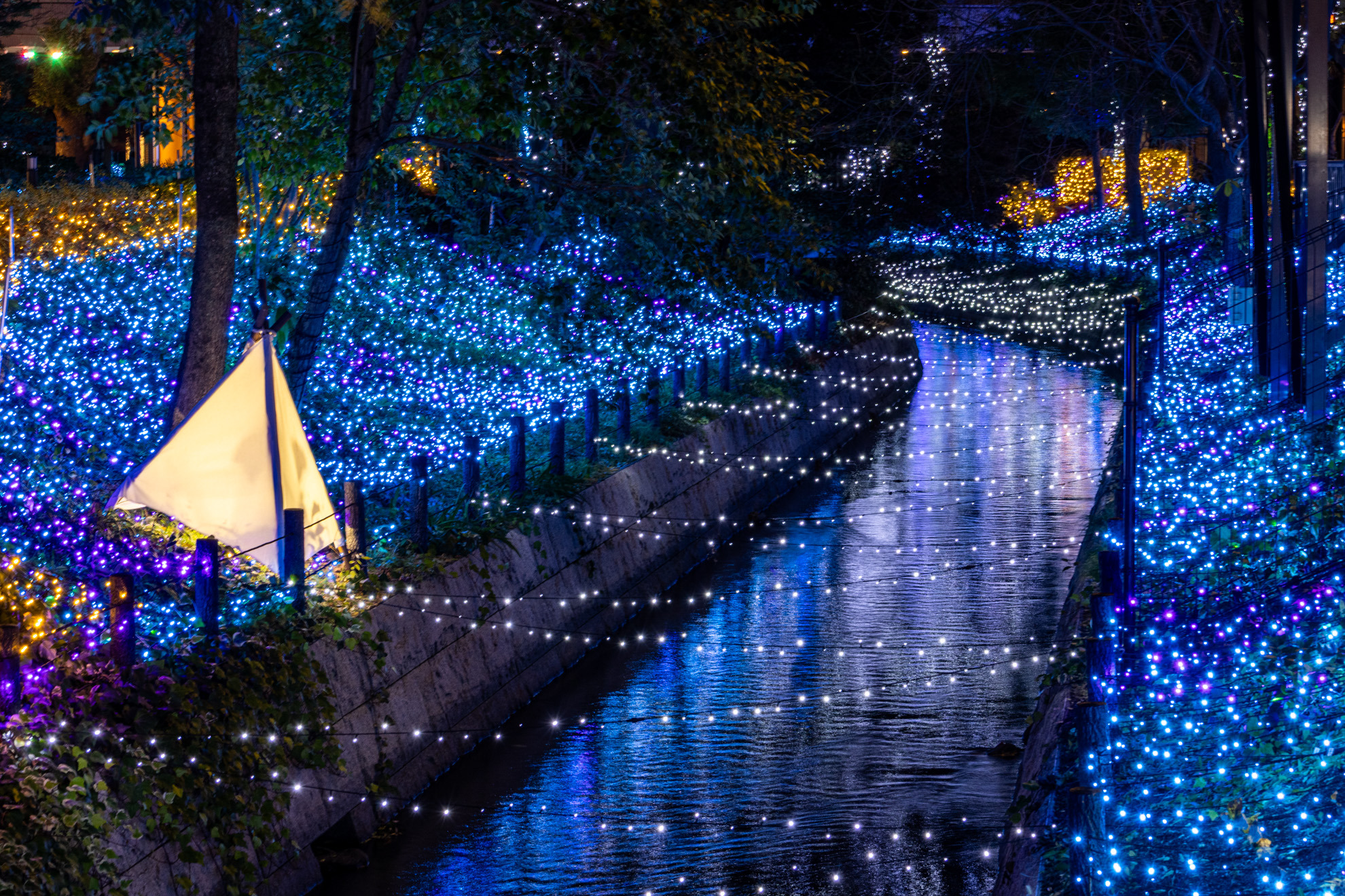 倉敷みらい公園 用水路