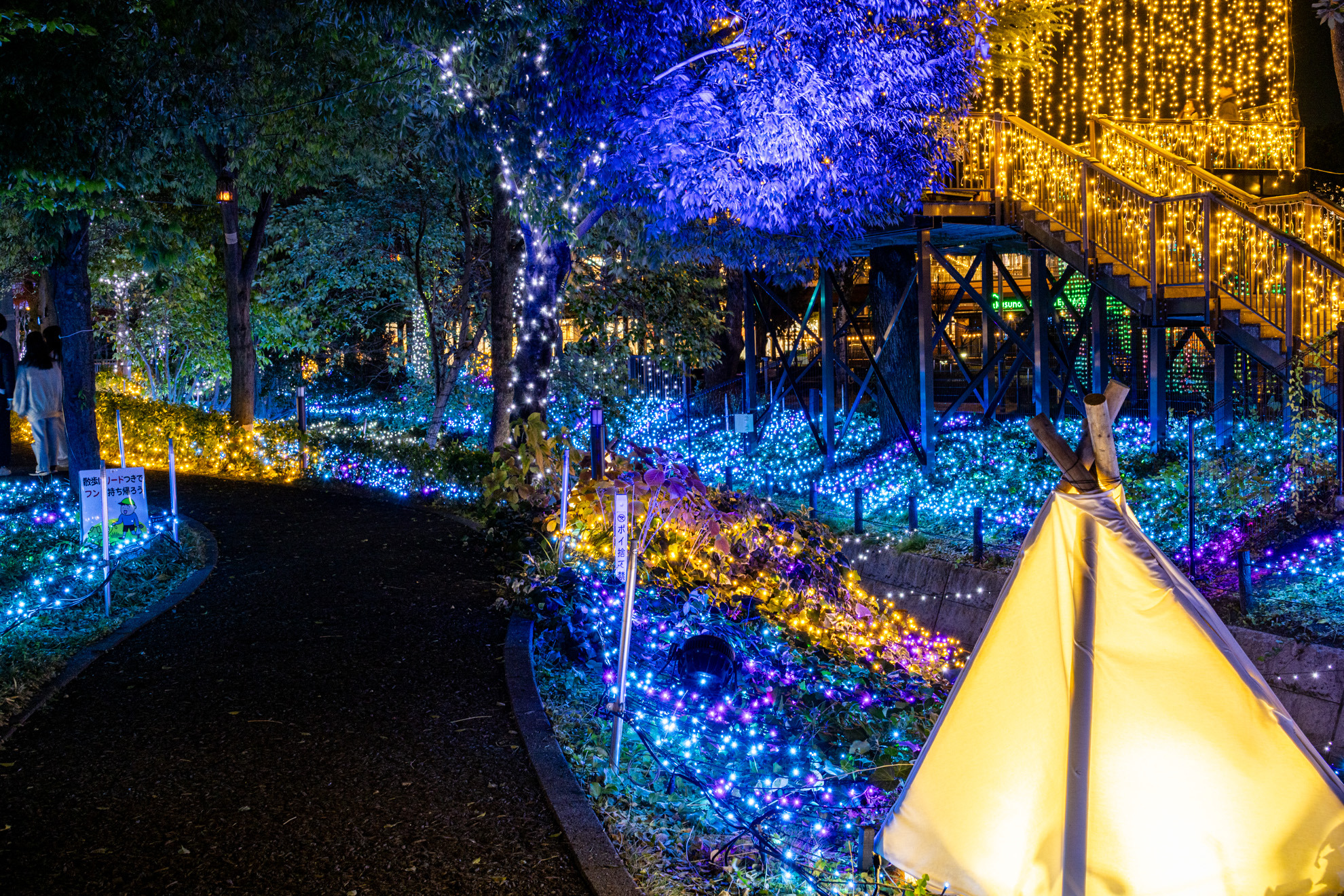テントをイメージしたライトアップも