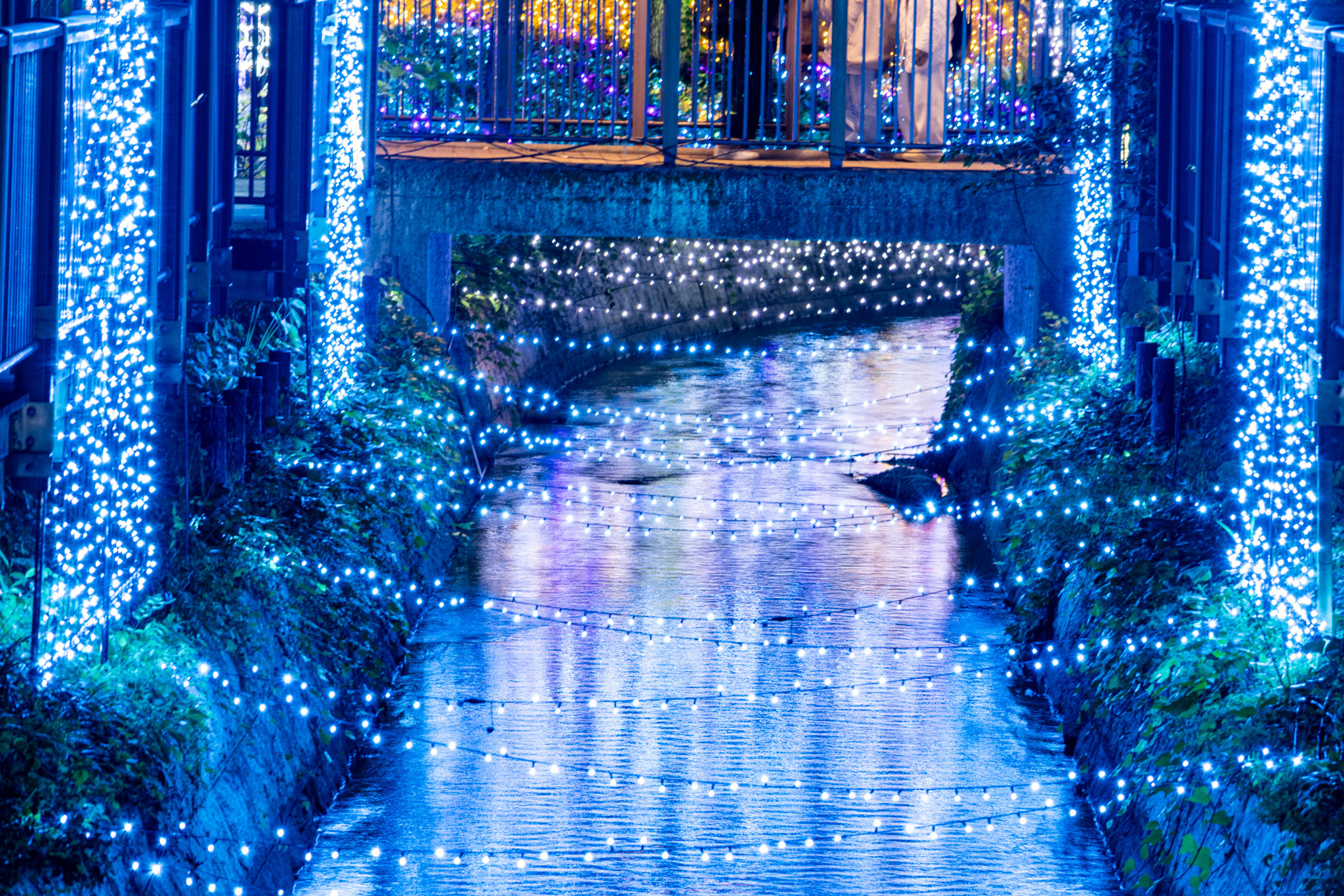 北側の用水路 両側にも光の演出があります