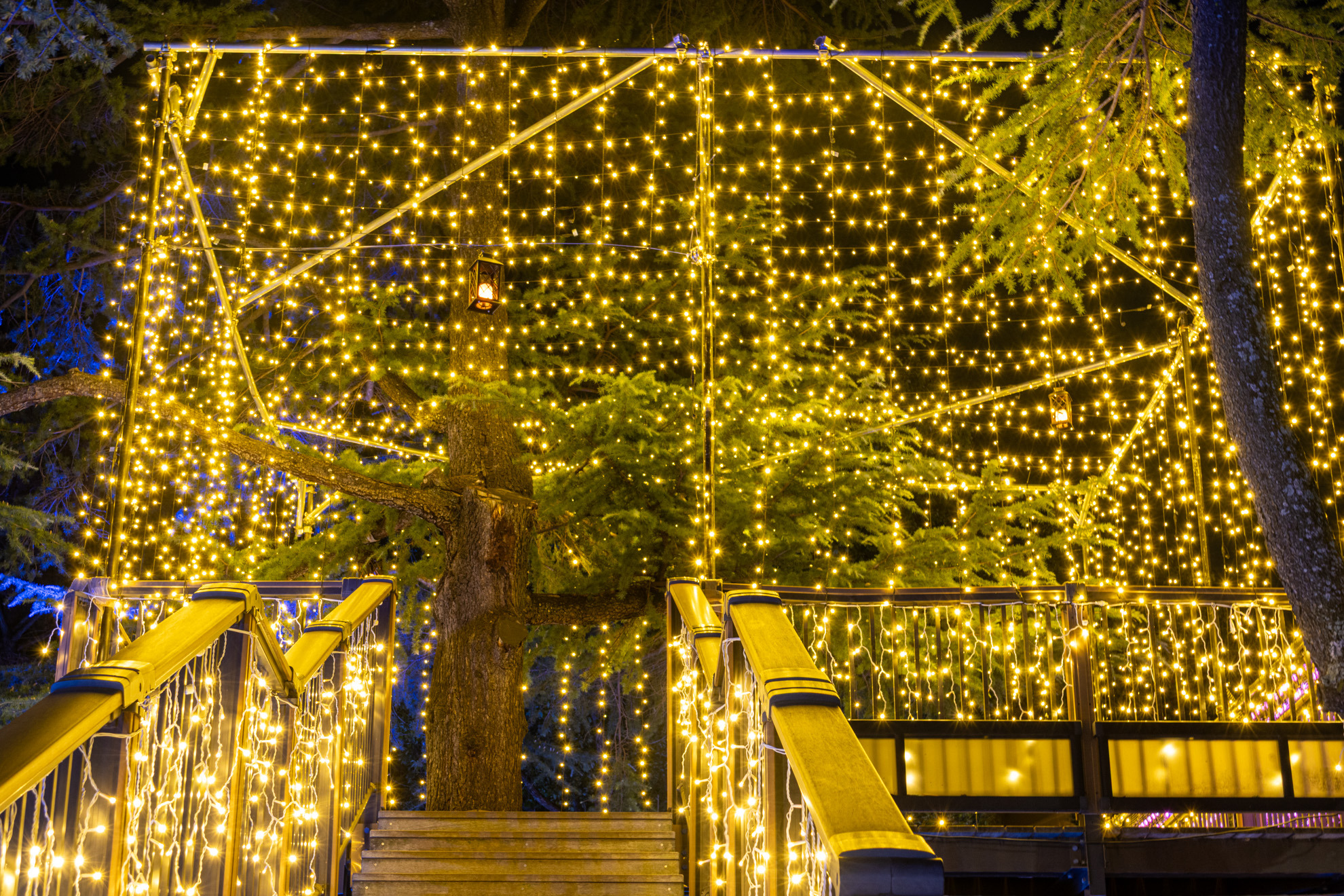 温かみのある照明でライトアップされた空中デッキ