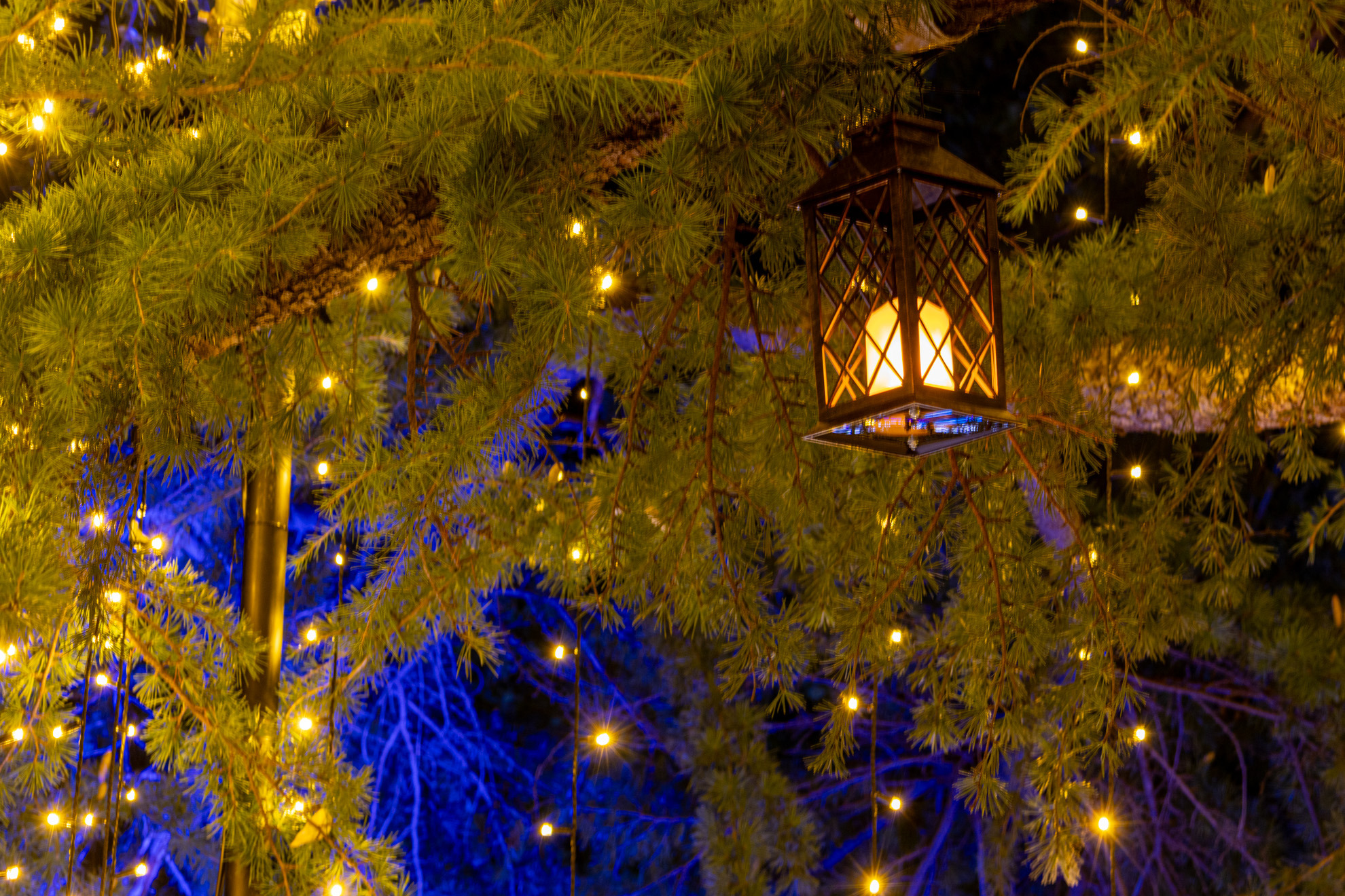 デッキ内部にはランタンがあり幻想的な雰囲気です