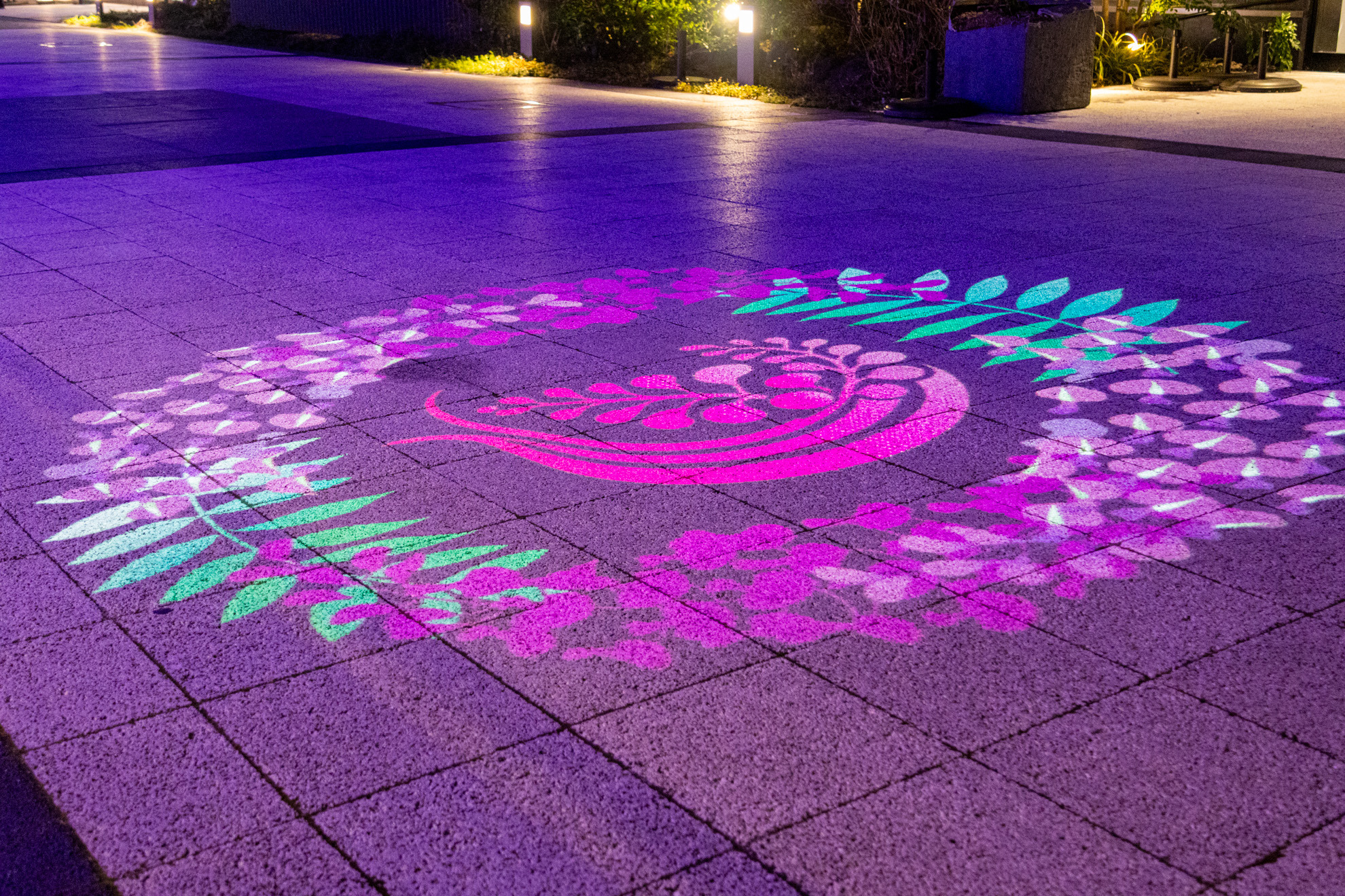 地面に投影される藤の花をモチーフにしたイラスト