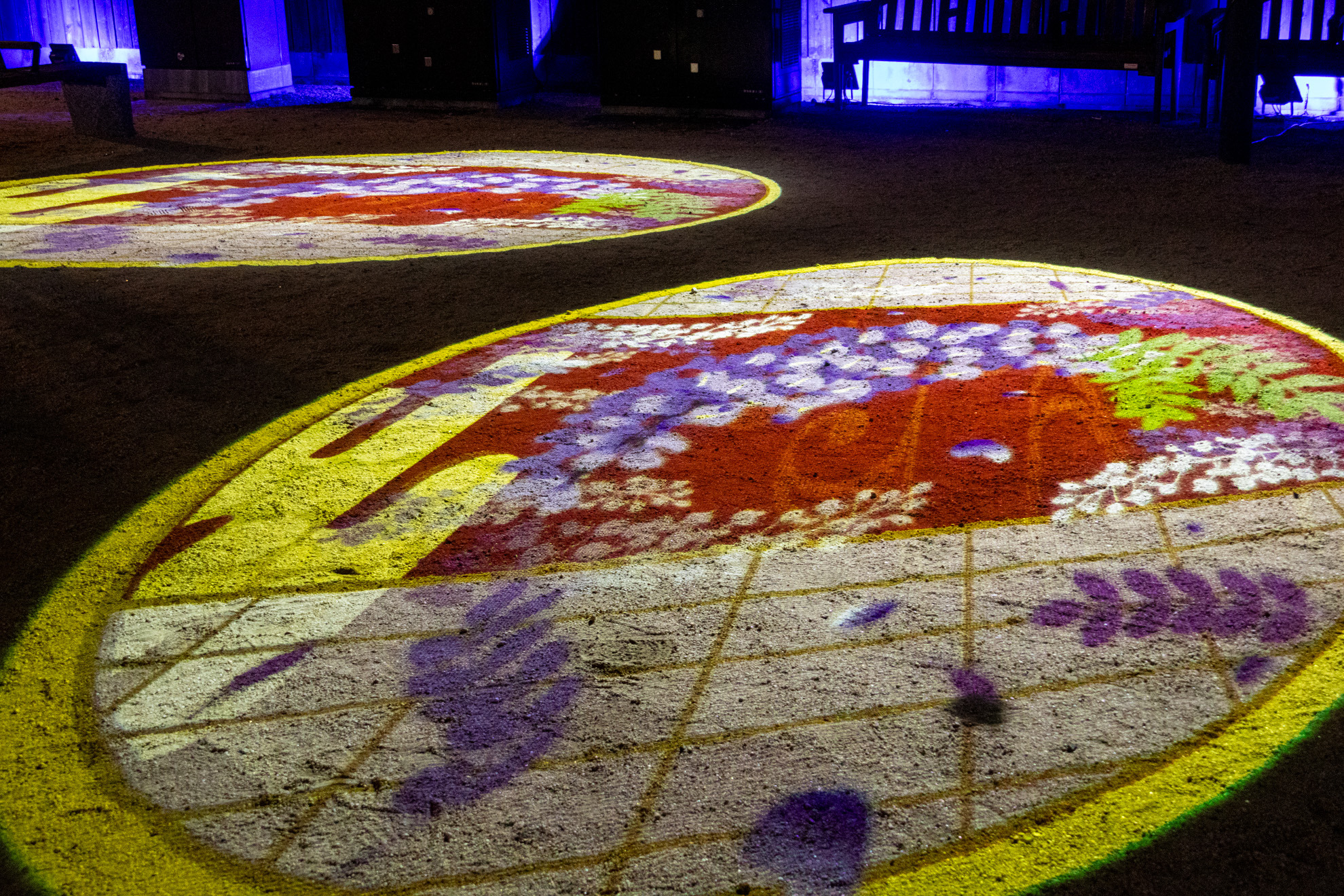 地面に投影される藤の花と日本の伝統色を組み合わせたイラスト