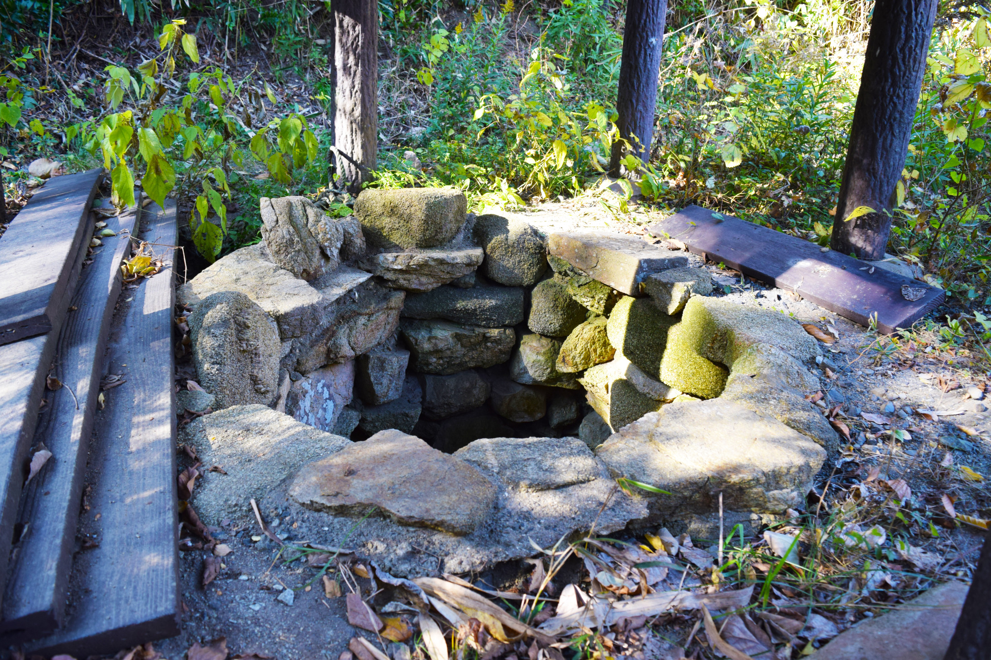 苫陰（とまかげ）の井戸