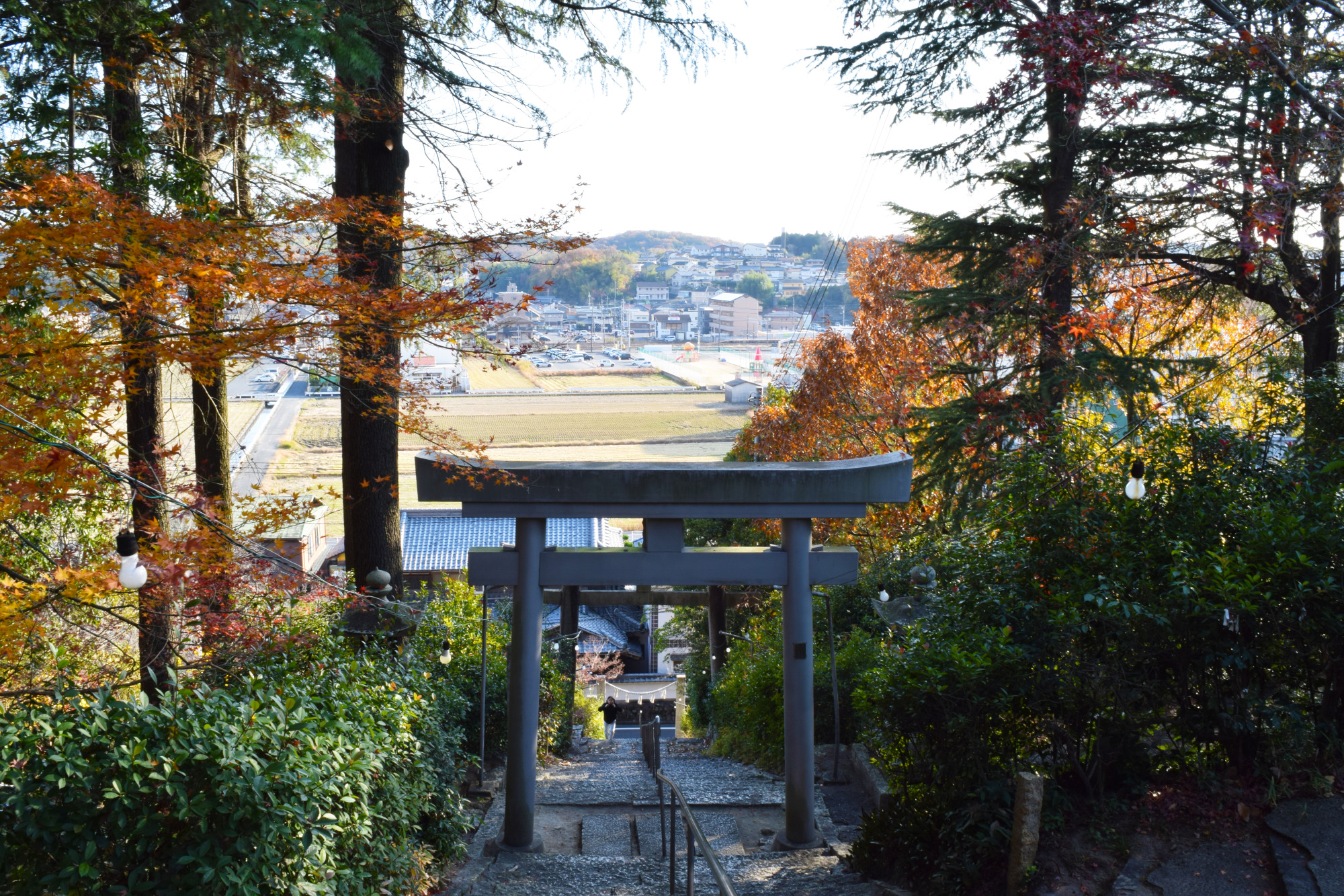 両児神社からの風景