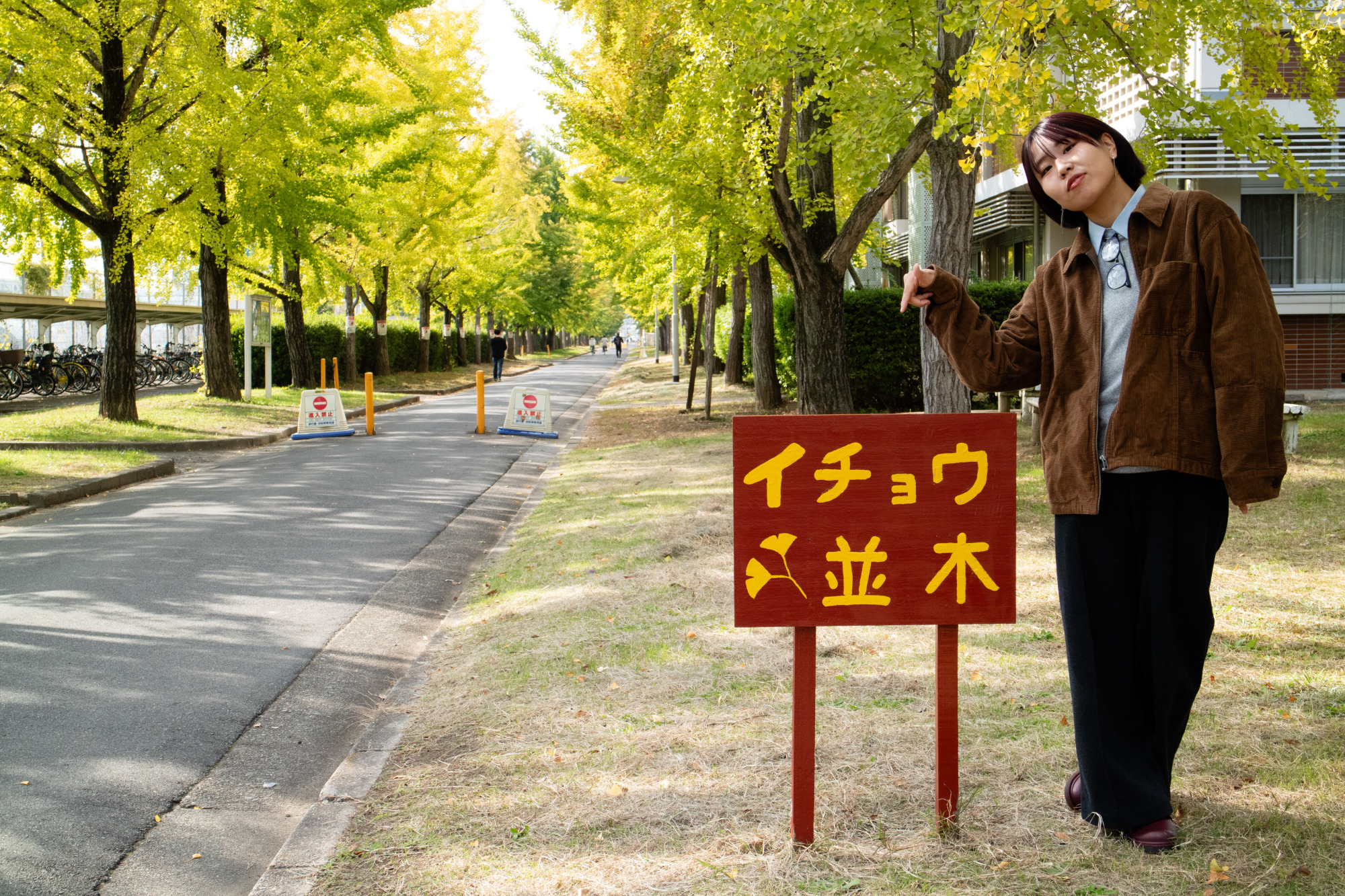 隣接する農学部のイチョウ並木は紅葉の名所