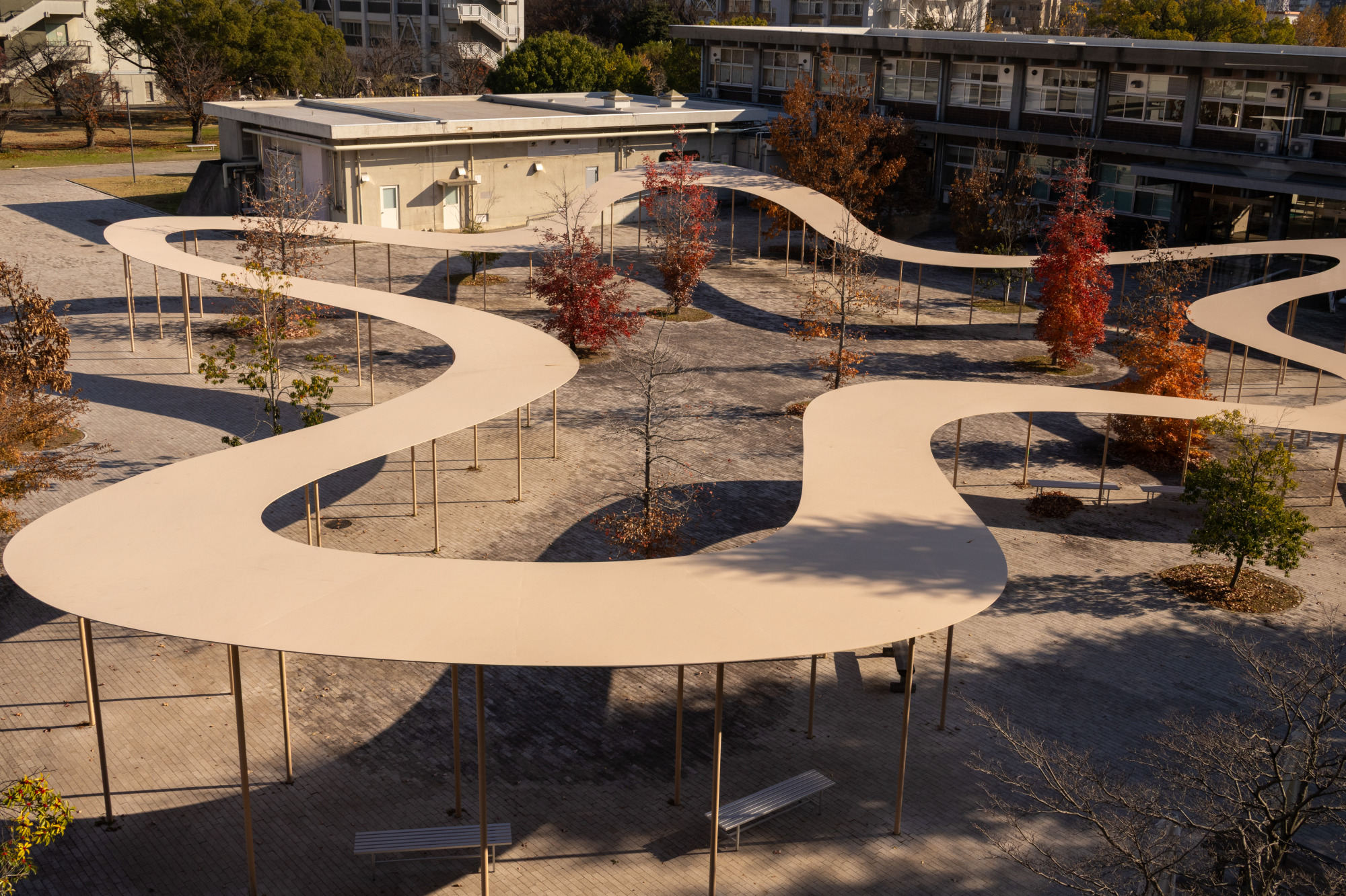 上から見たパーゴラ