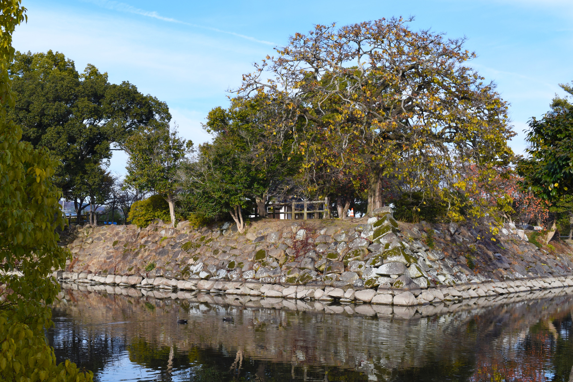 撫川城跡 南西の石垣と堀