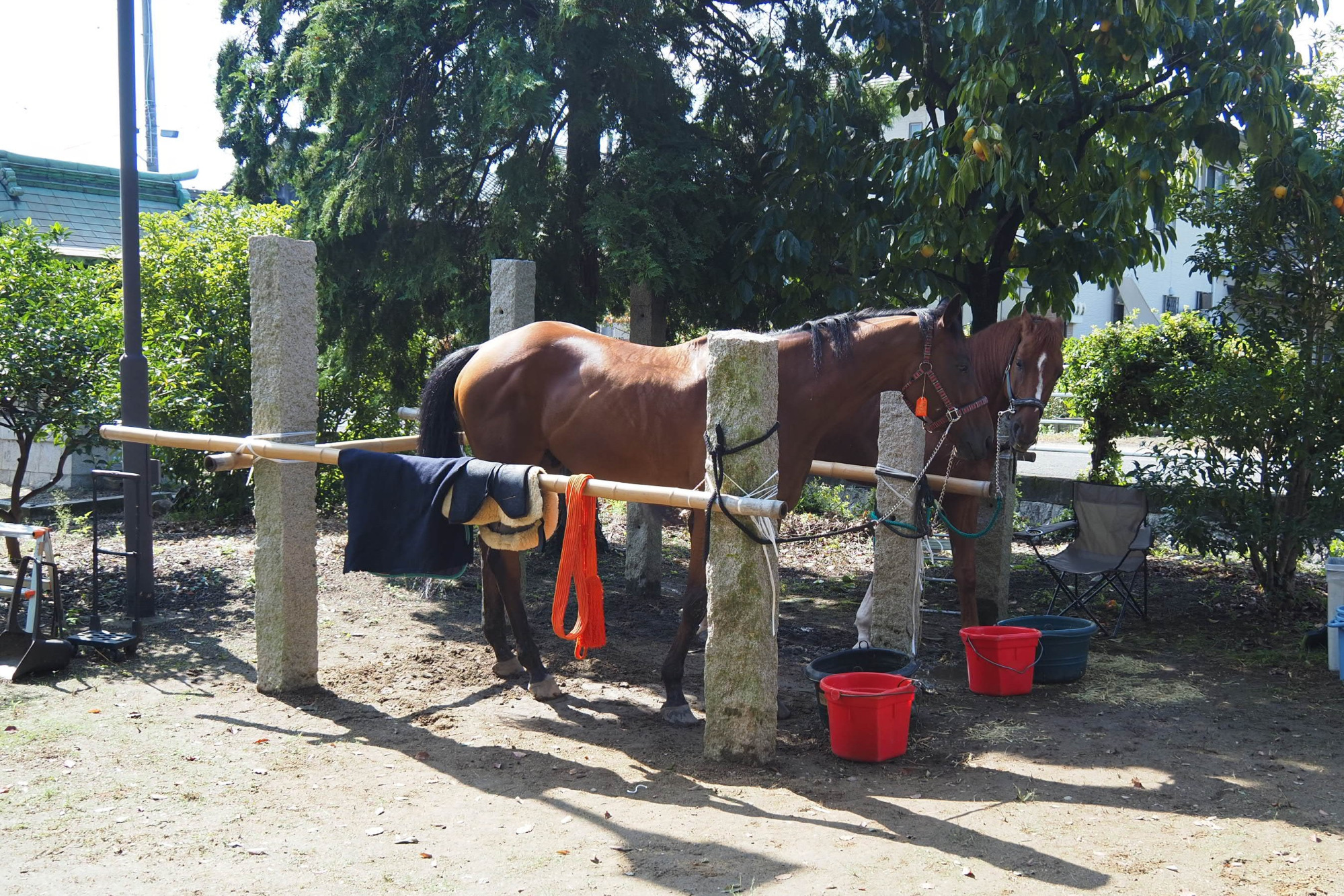 秋季例大祭の日の様子
