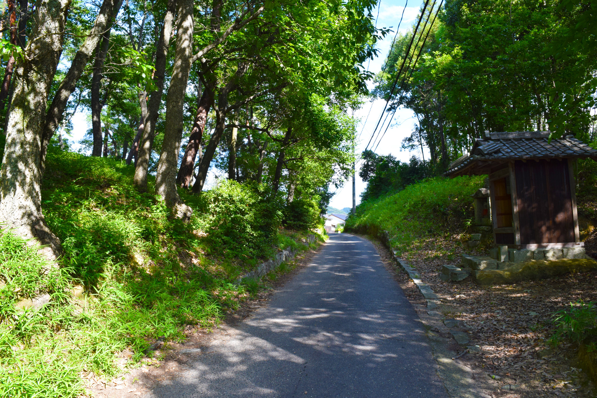 前方部（左側）と残された元の丘陵部（右側）