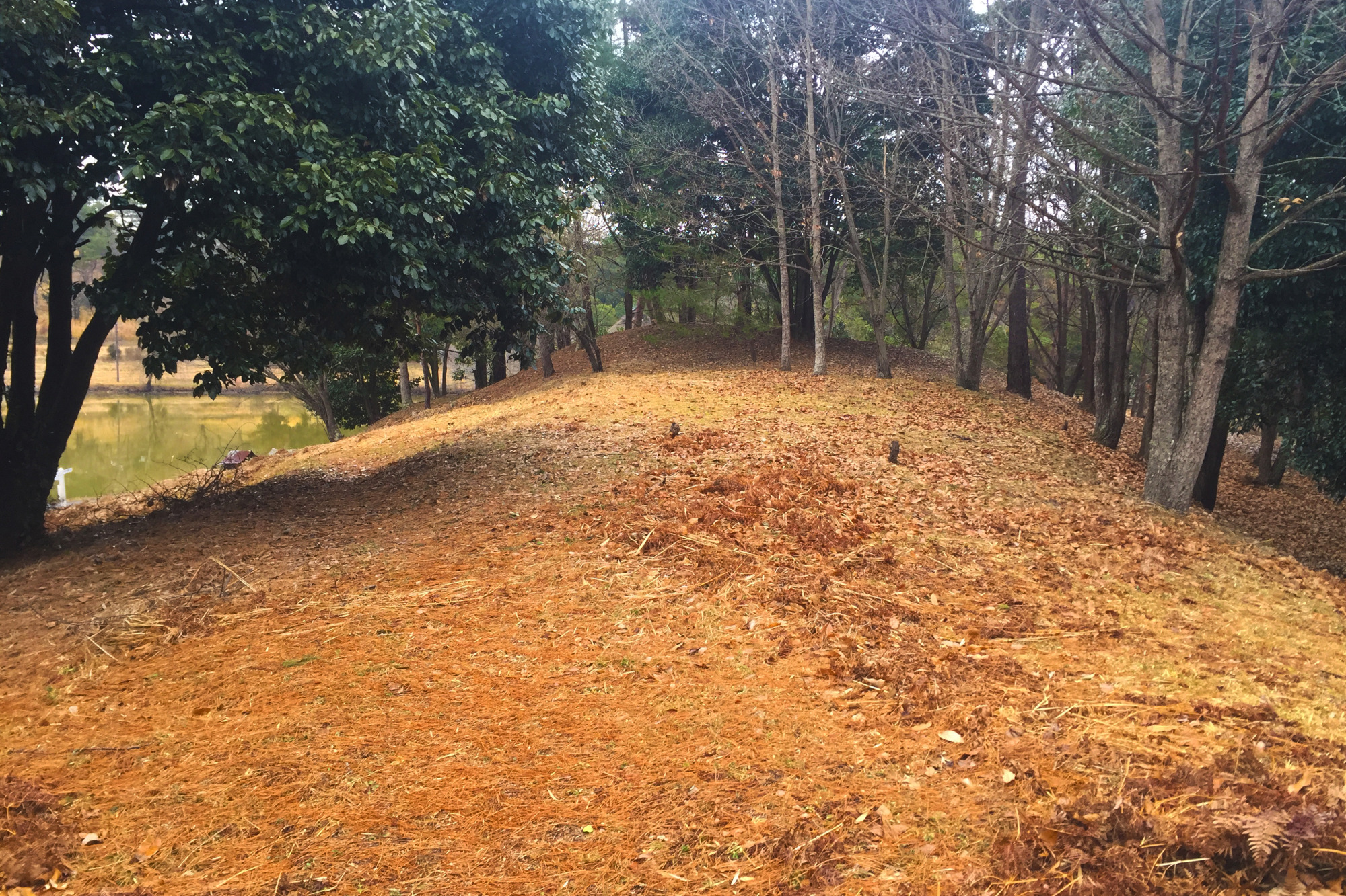 こうもり塚古墳