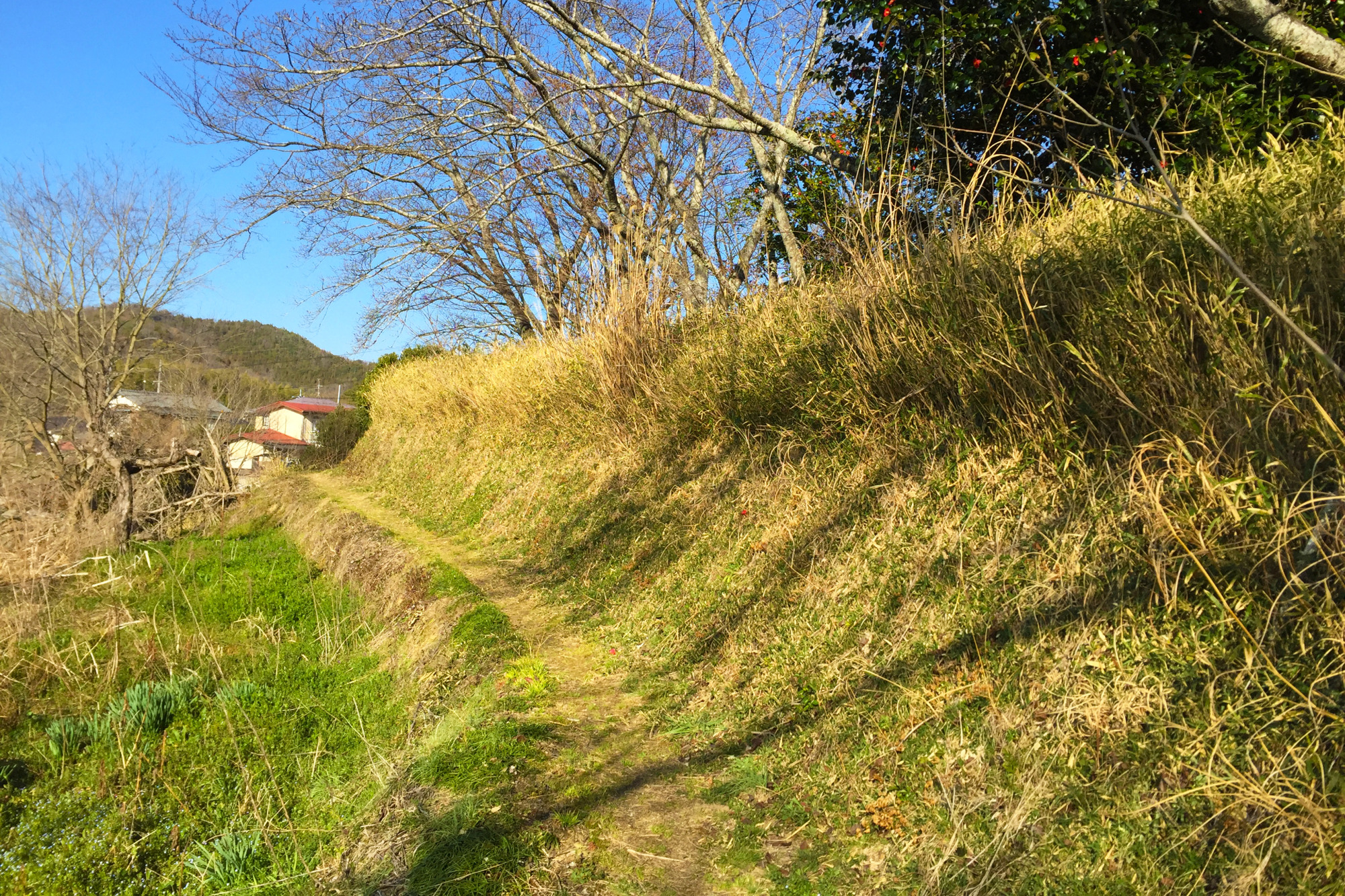 浦間茶臼山古墳