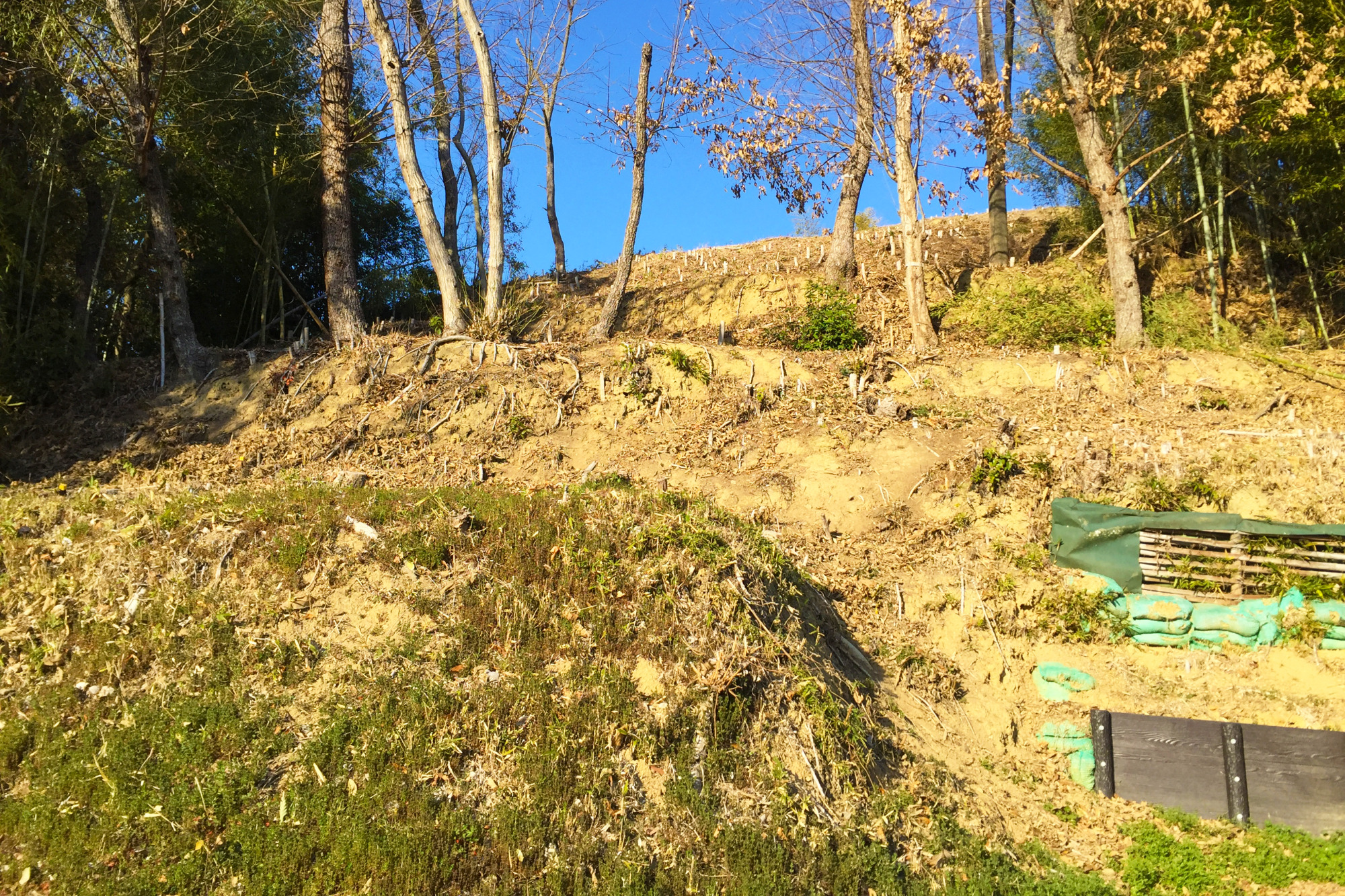 浦間茶臼山古墳