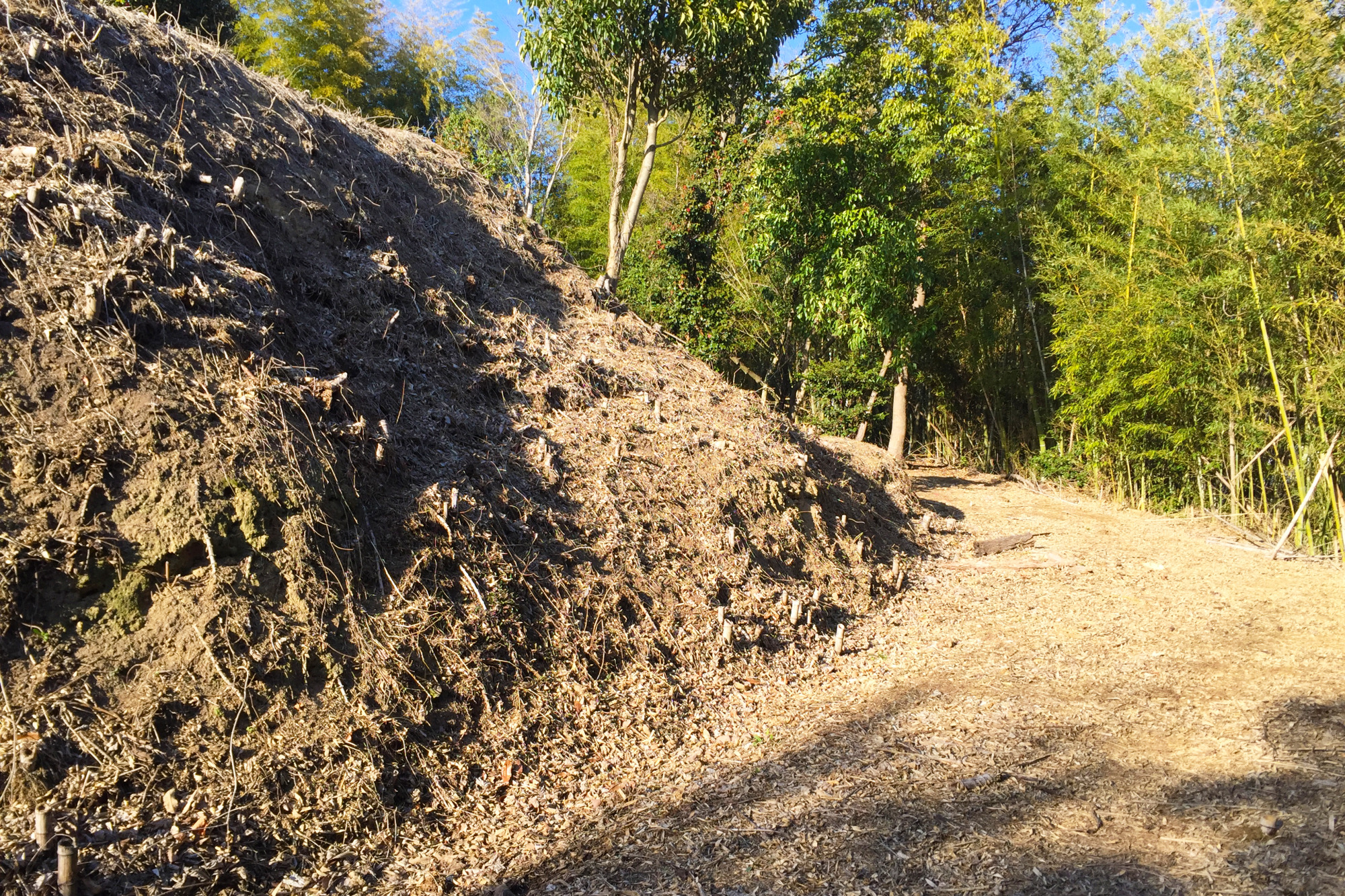 浦間茶臼山古墳