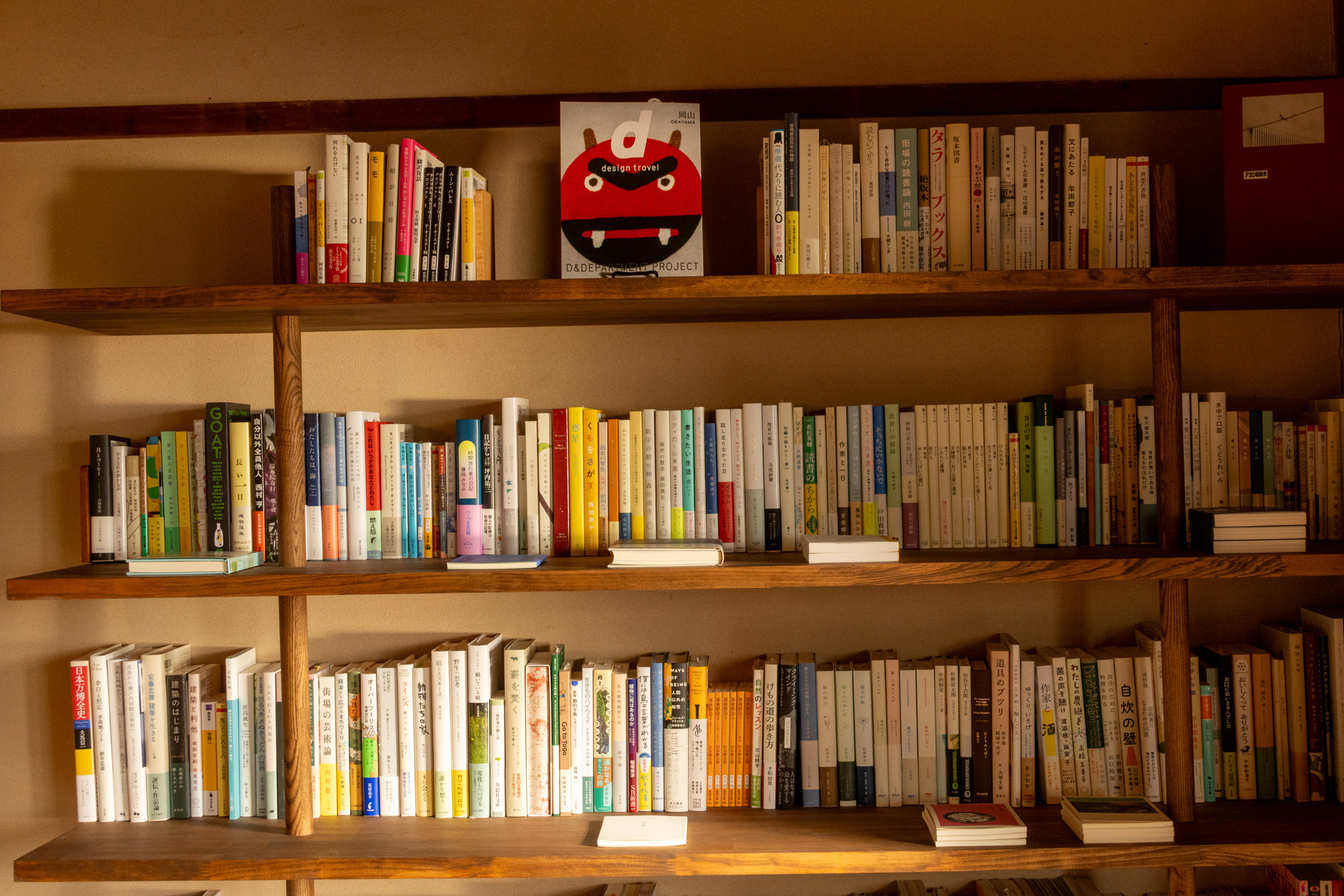 店主のこだわりが詰まった新刊書のコーナー