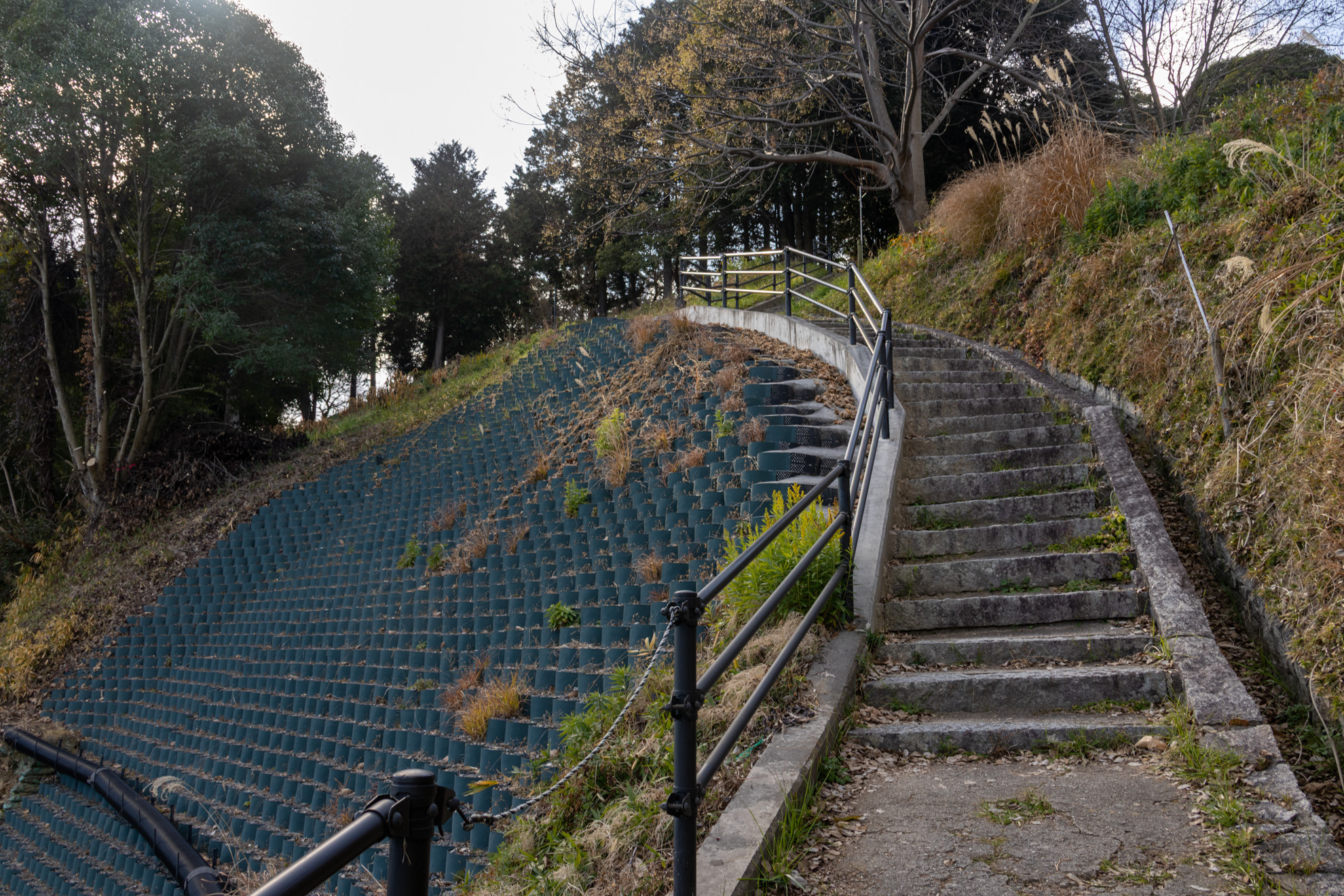 住宅地のなかを抜けると登り口が見えてきます