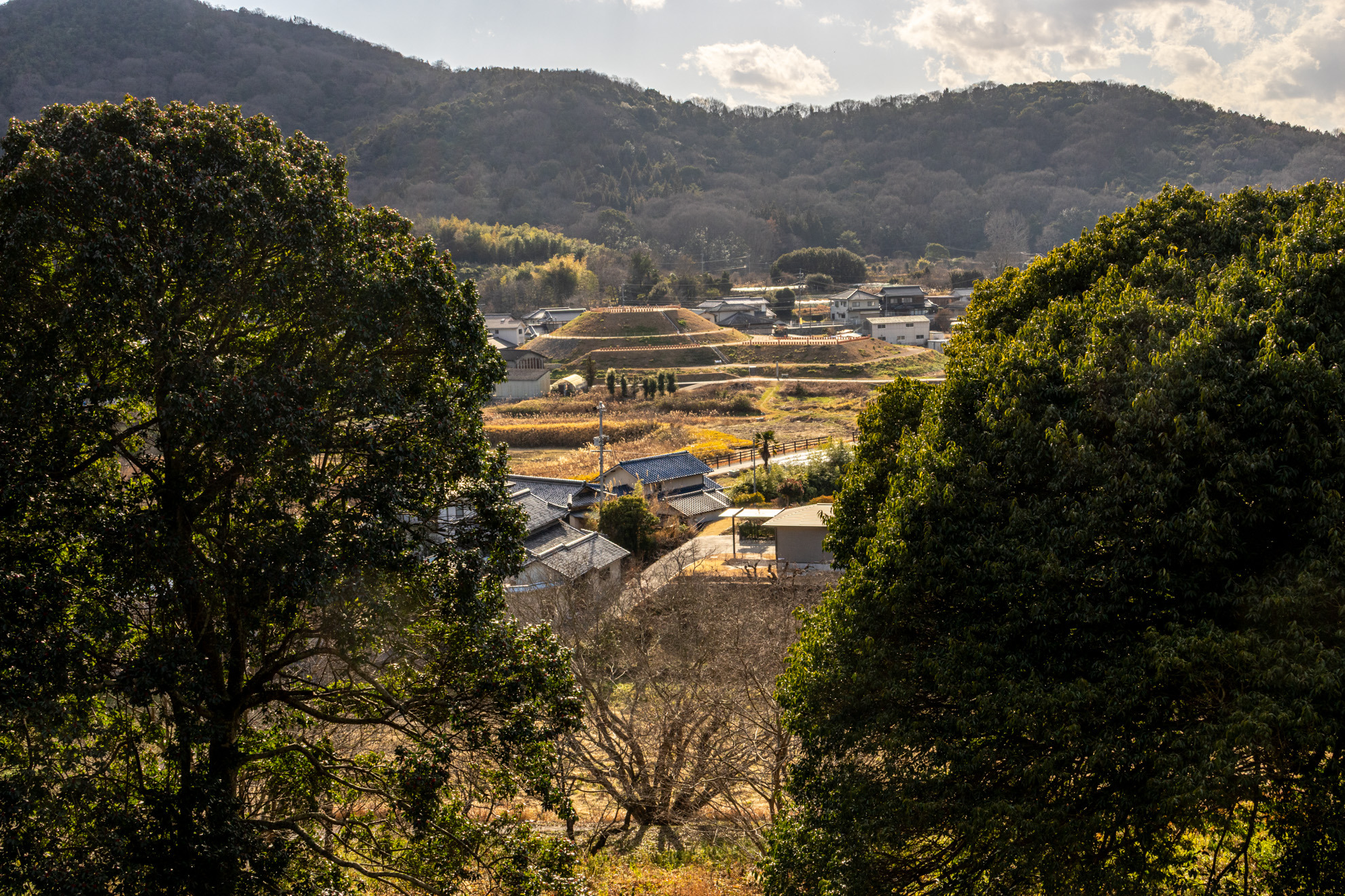 木々の間から千足古墳の全景が確認できます
