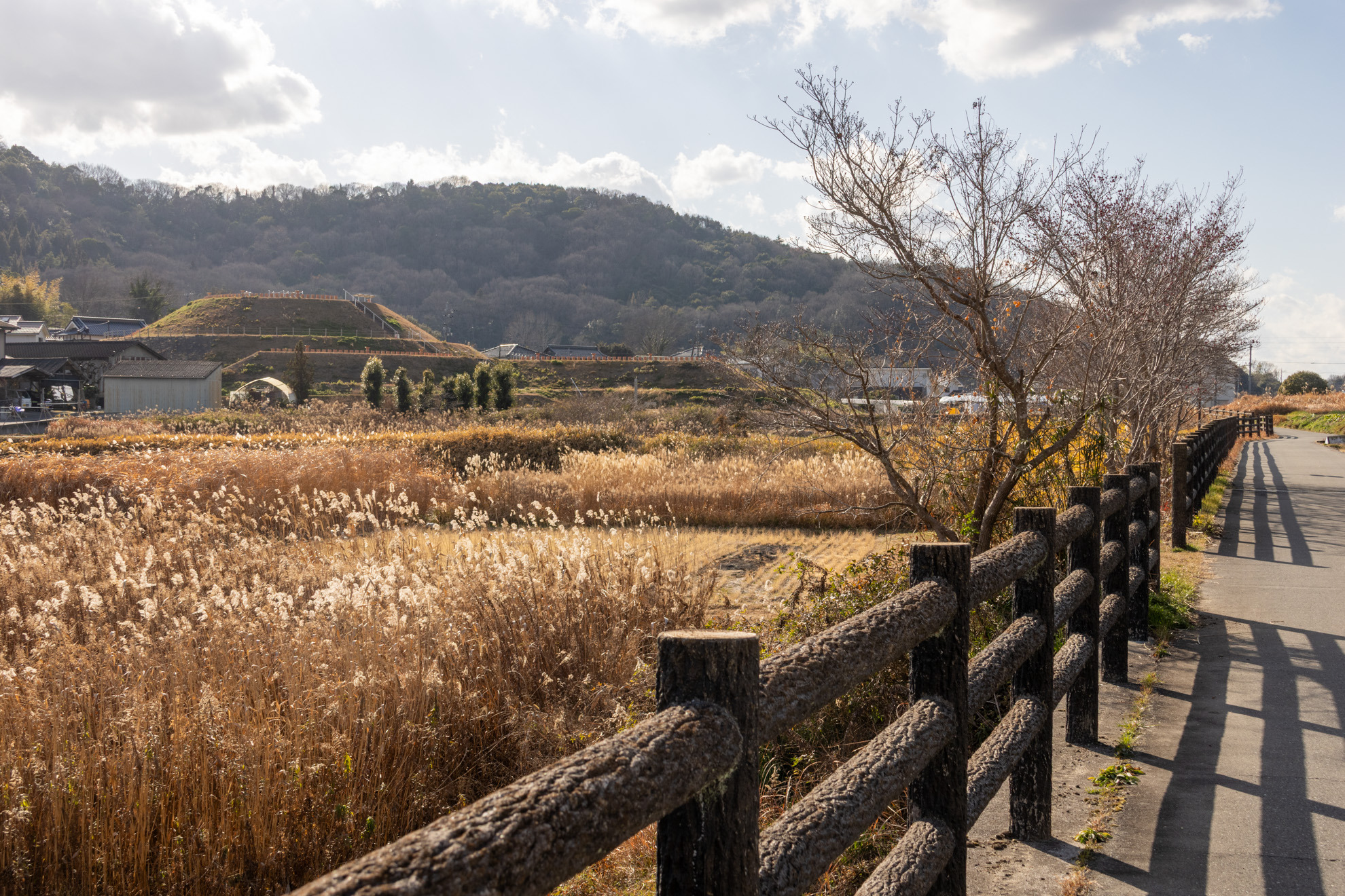 左手に千足古墳が見えてきます