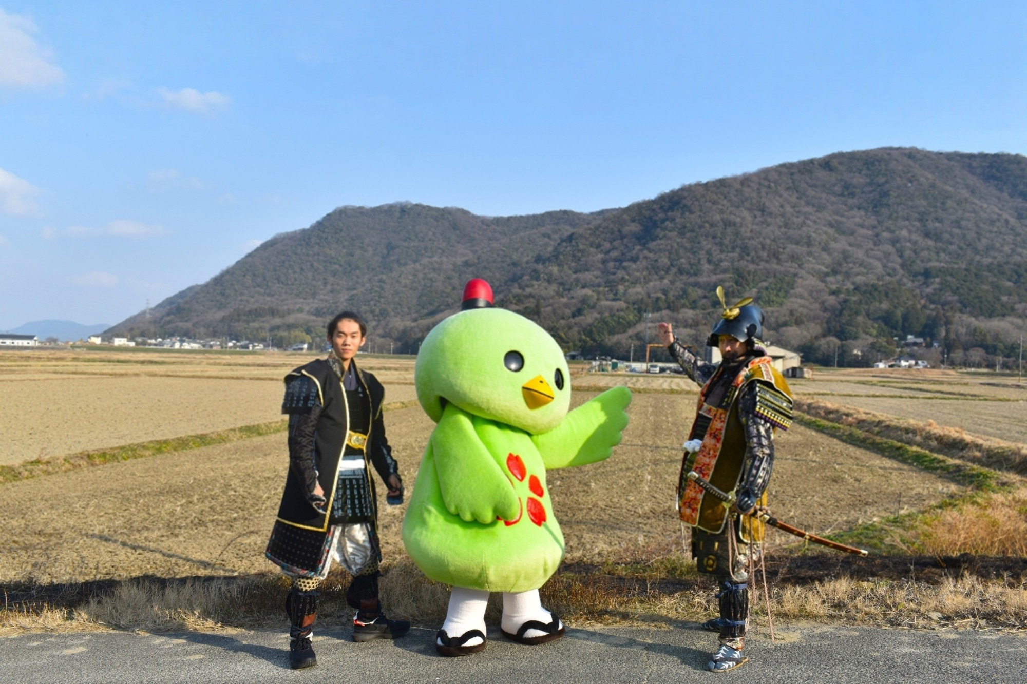 猿掛城（左奥）