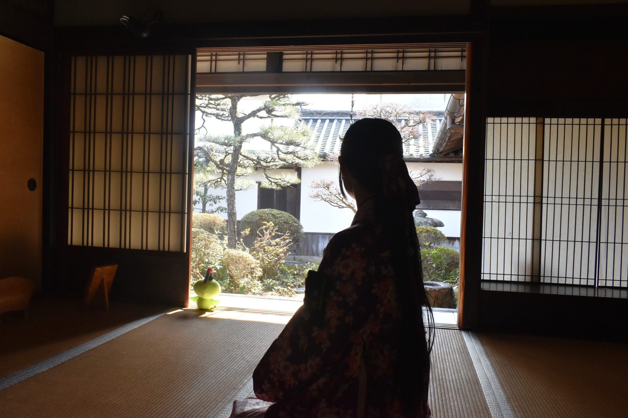 上段の間より望む中庭