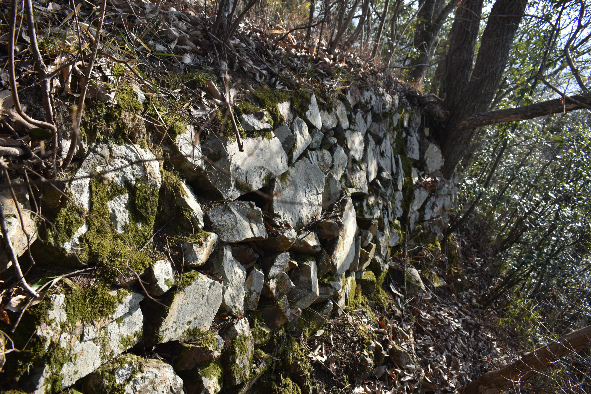 本丸西面石垣（後世の改変）