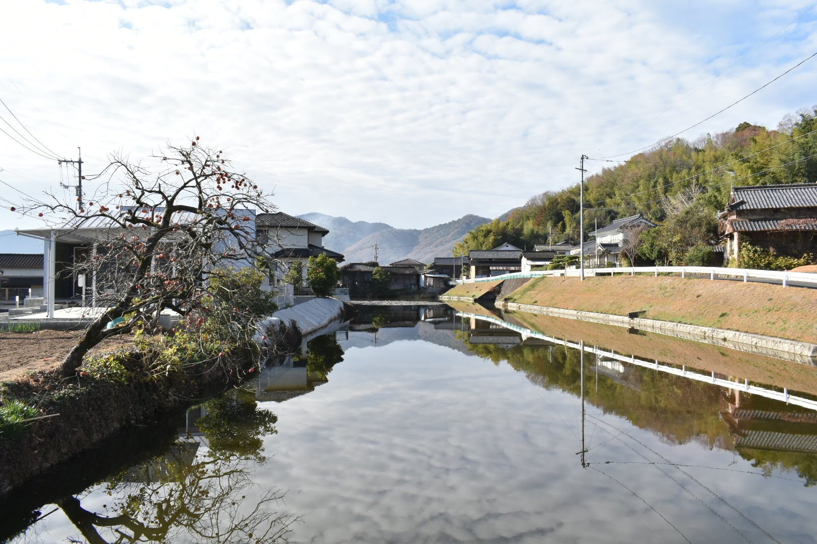 現存する水堀（南麓）