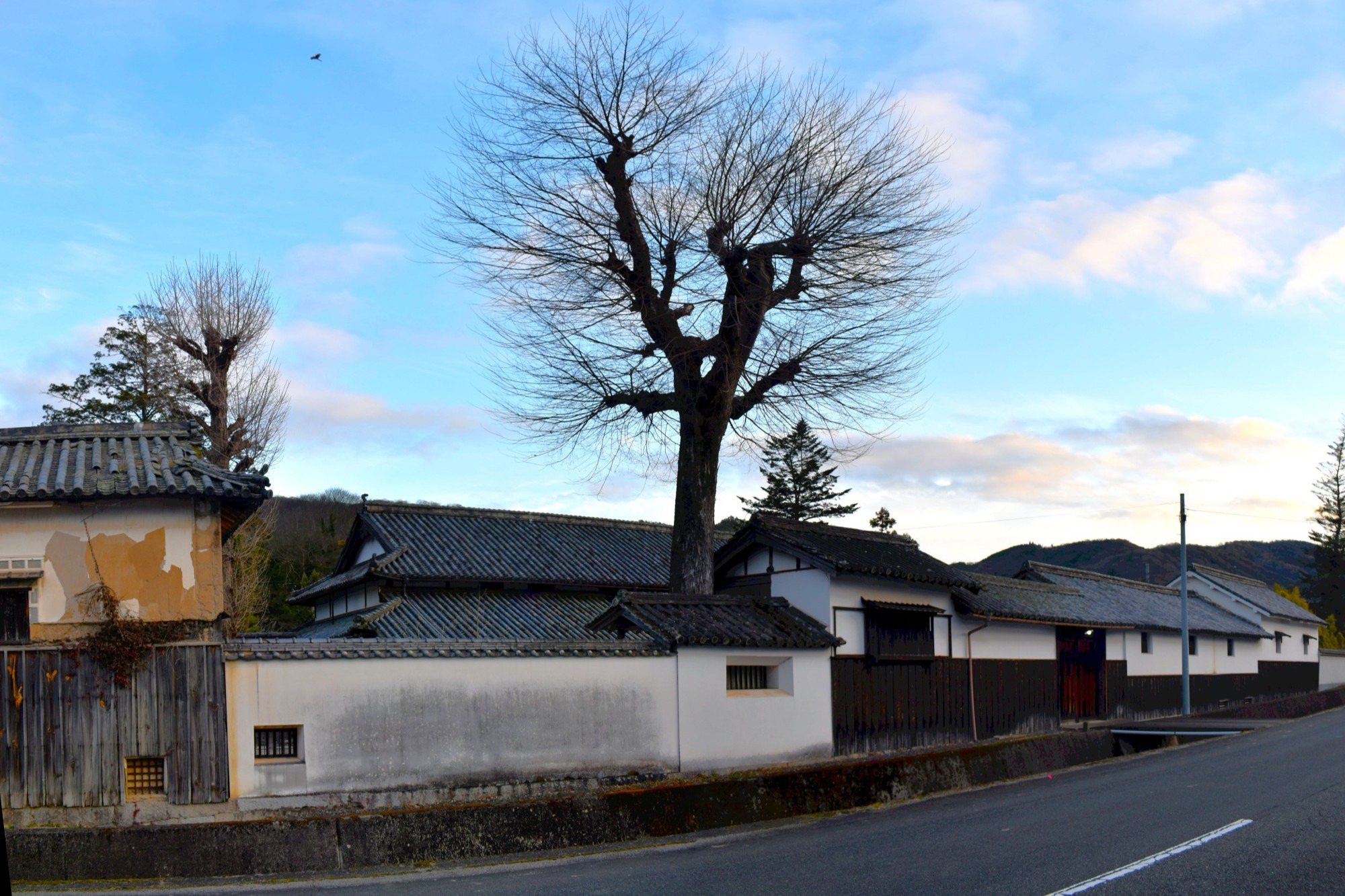 西側に連なる長屋